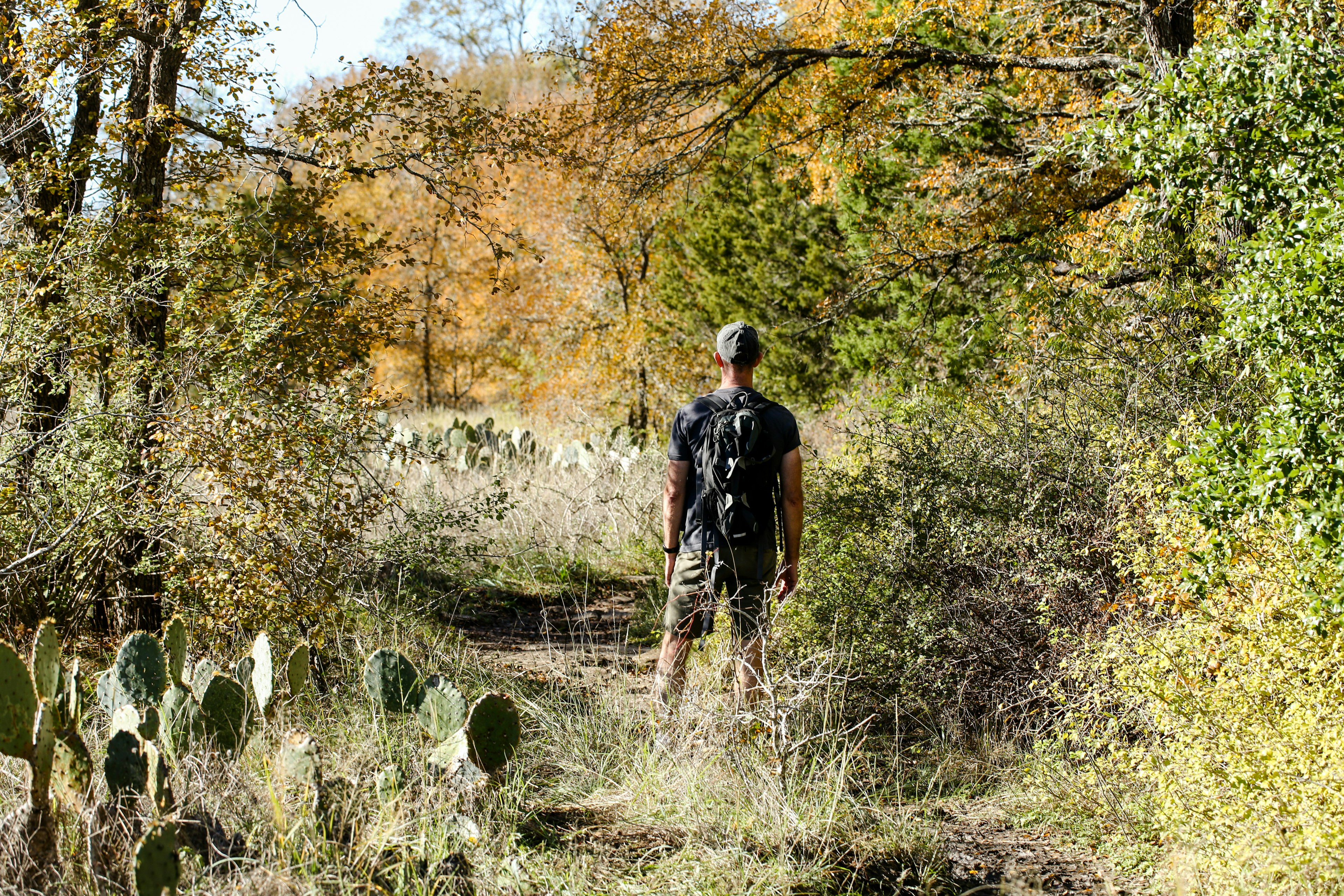 A hiker in McKinney Falls State Park, Austin, Texas, USA