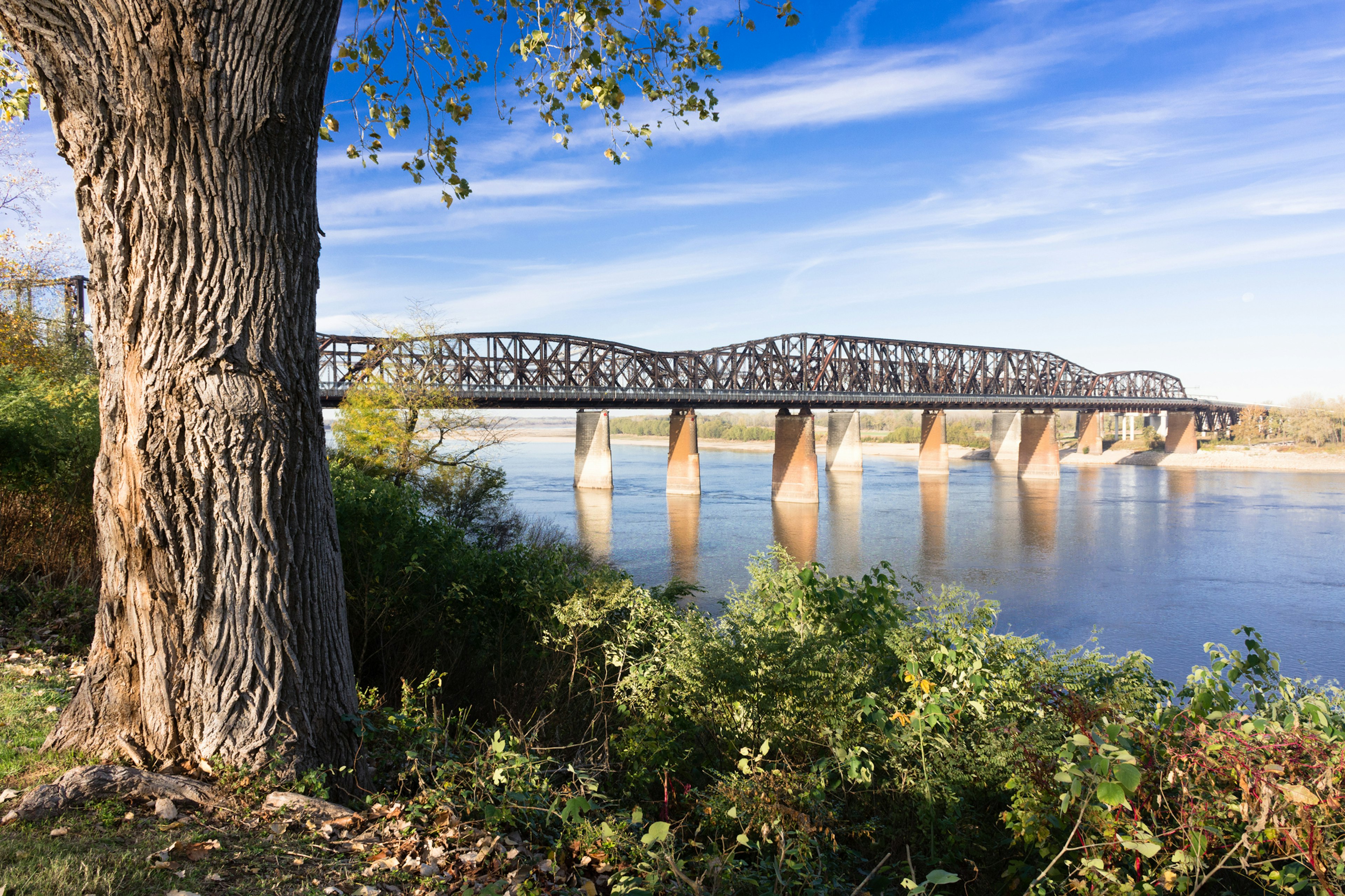 A large bridge crosses a river with parkland on either side