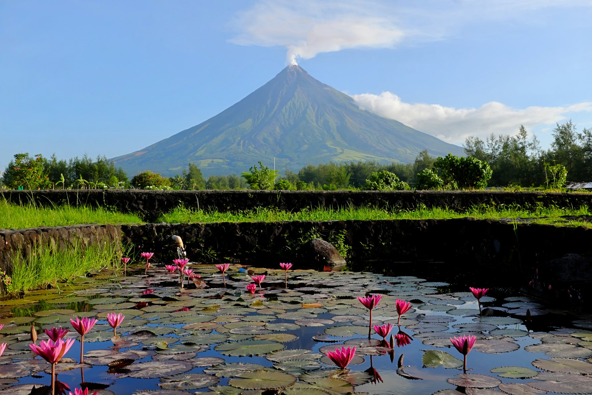 Mt Mayon in front of a rice field, Albay Province, the Philippines