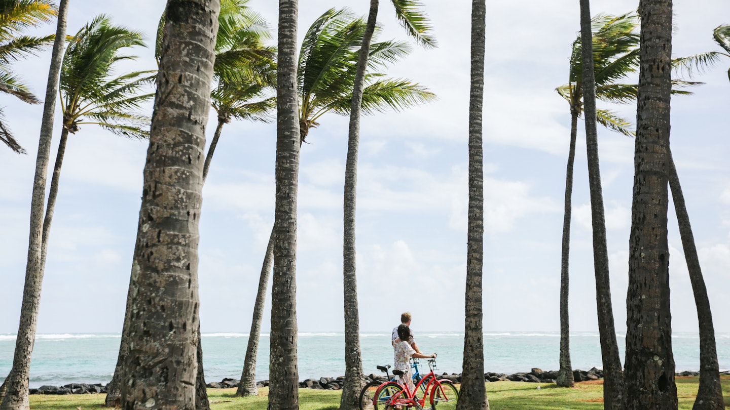Young man and young woman walk among palm trees along the ocean during a vacation on the island
1753768251