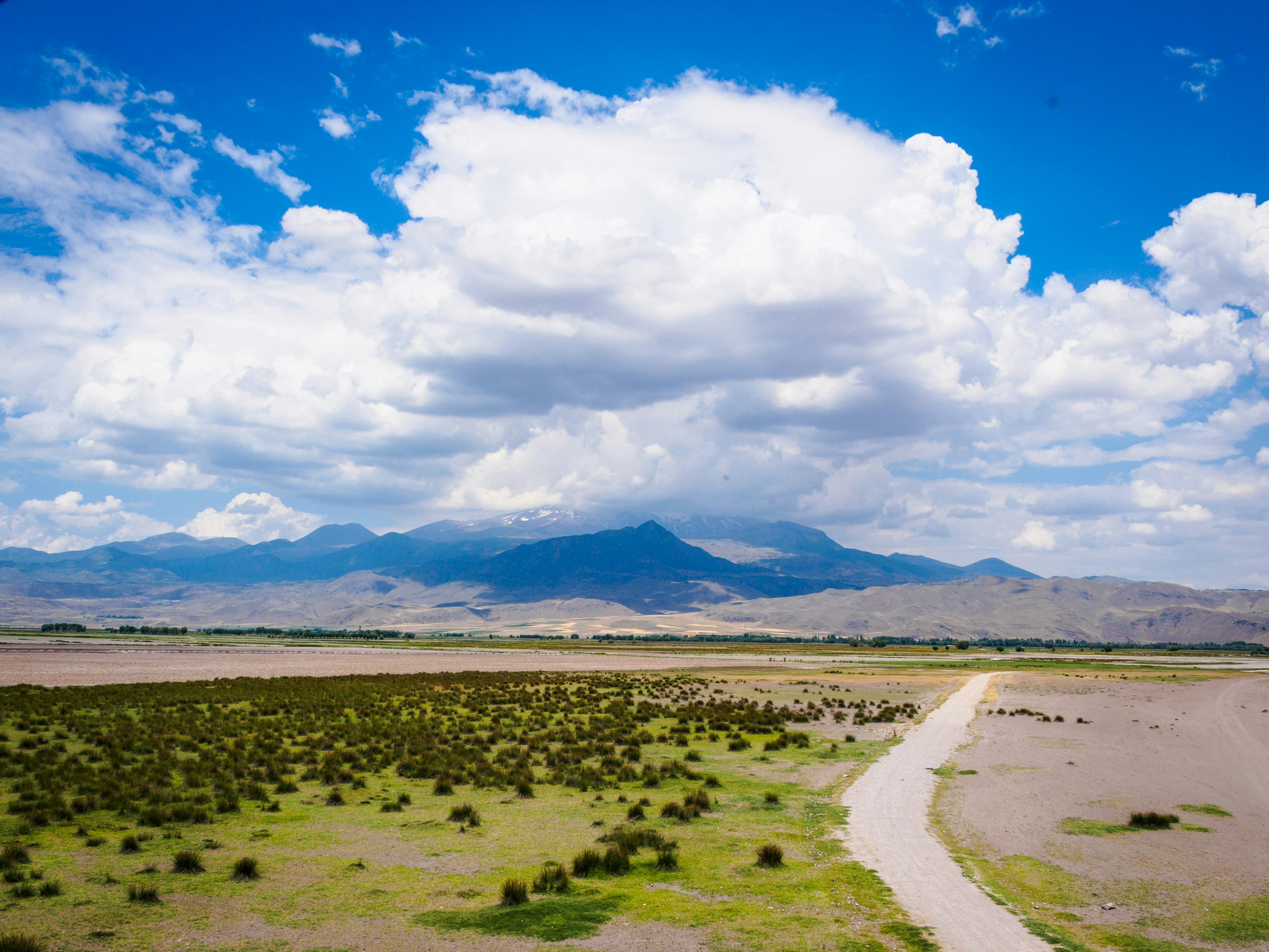 A track through grasslands leads towards a tall mountain