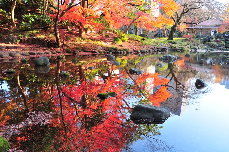 Autumn in Japan is very attractive season for its beautiful colors of Japanese maple, gingko and other trees.