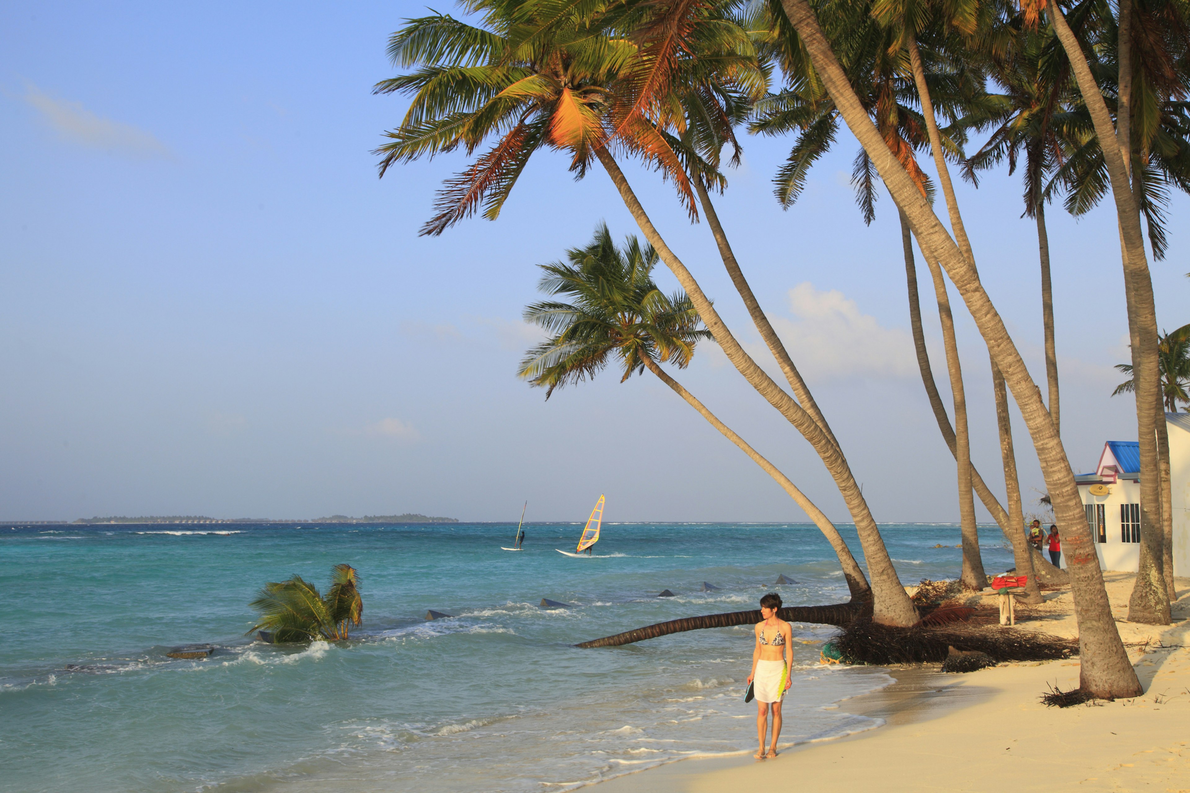 A woman walks on a palm-lined beach while windsurfers sale out at sea