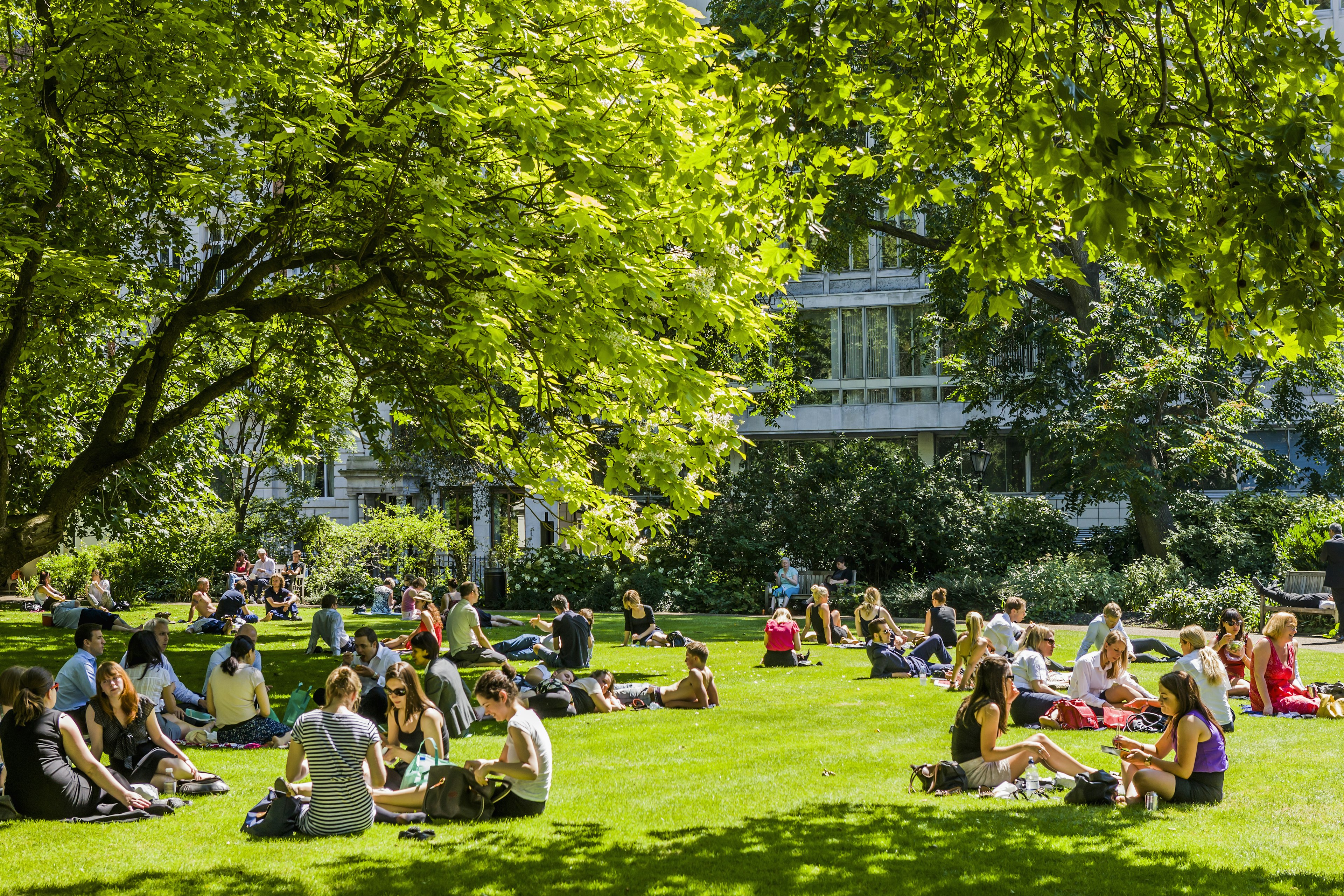 Lots of people sit on green grass in London on a sunny day