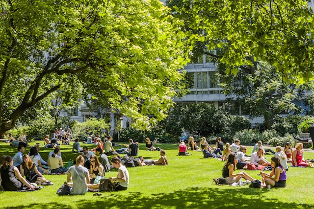 Lots of people sit on green grass in London on a sunny day