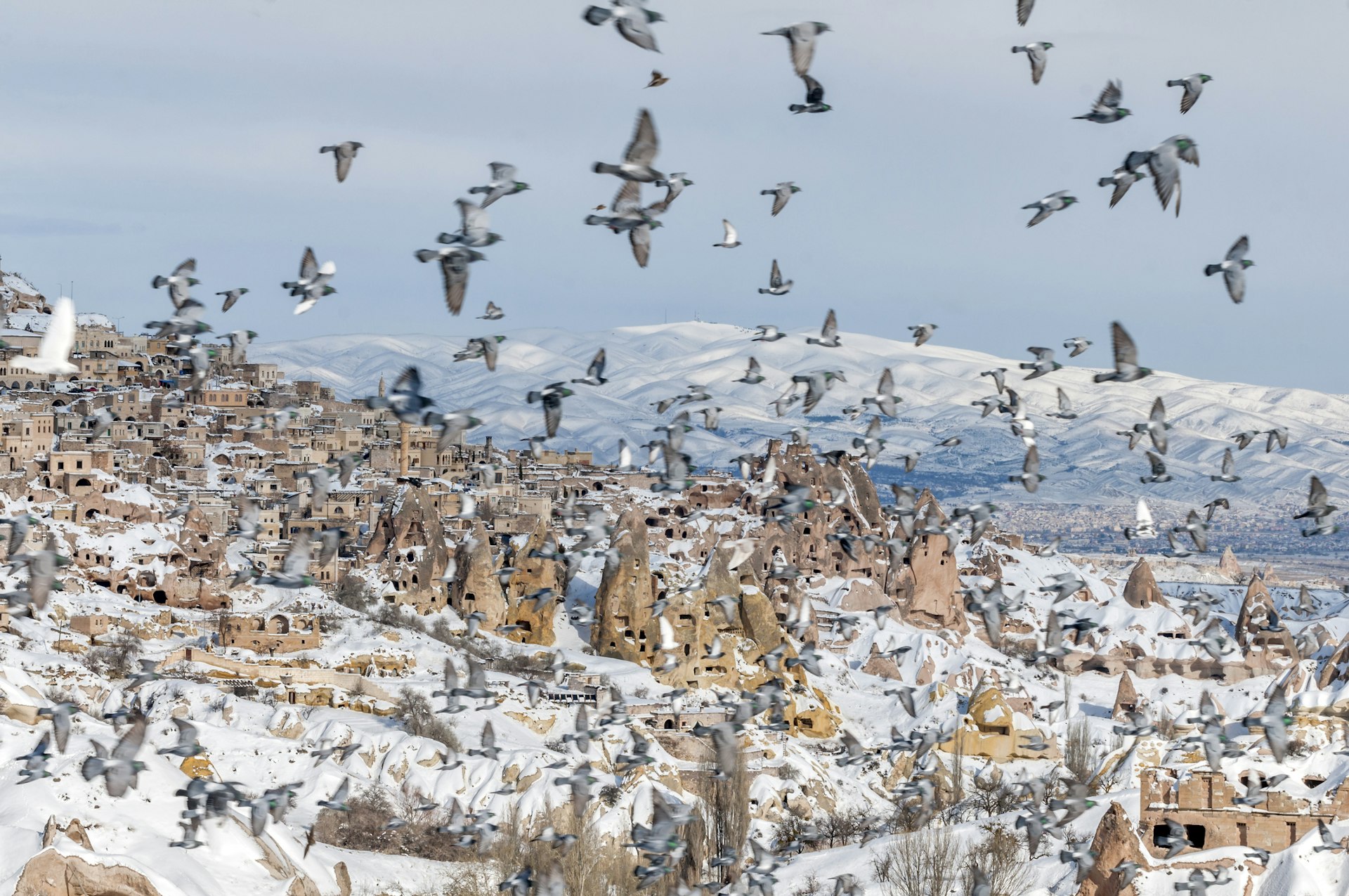 Cave dwellings in the snow as a flock of birds flies by