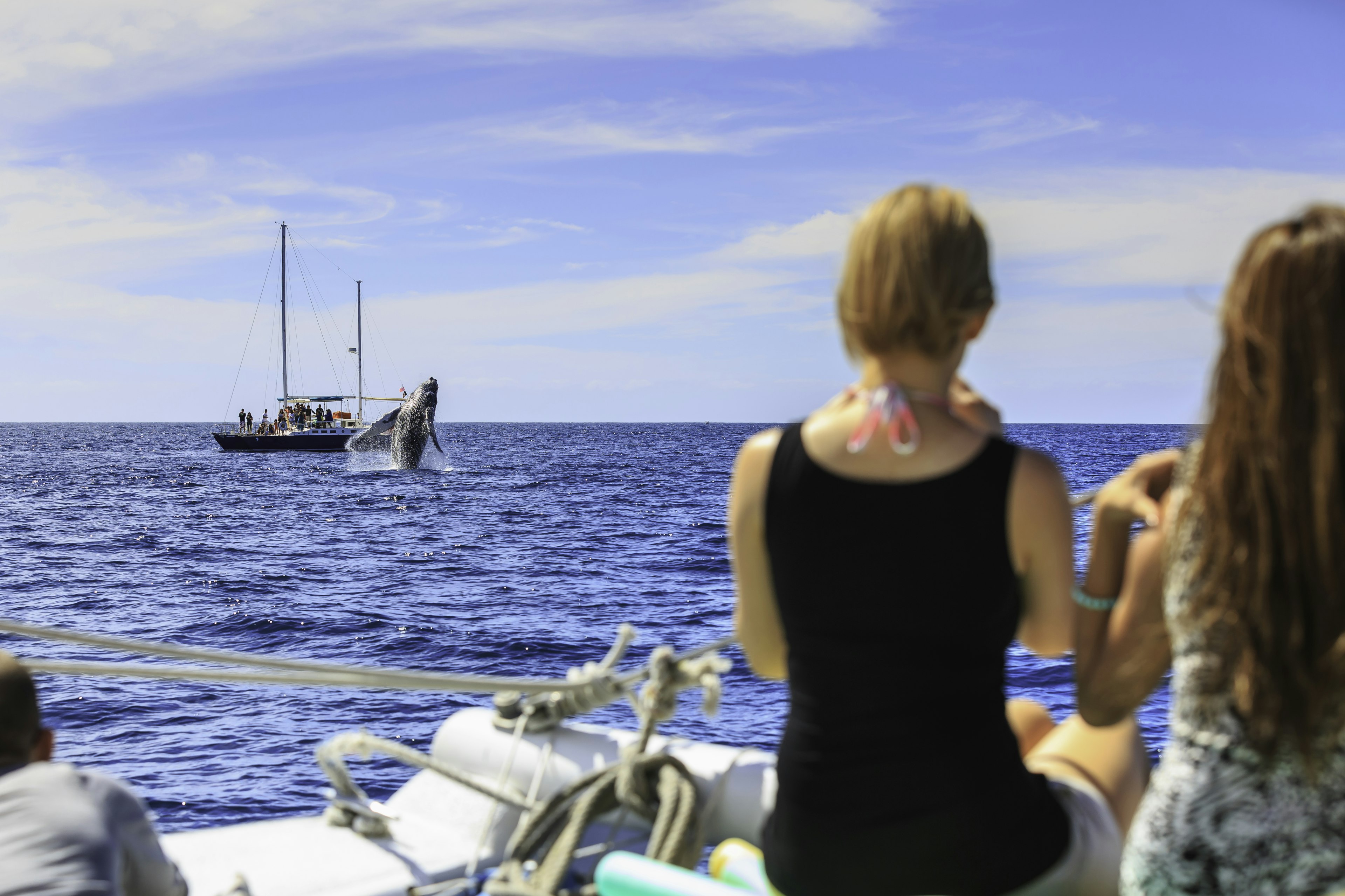 People sat on a boat watch a whale breaching at a safe distance