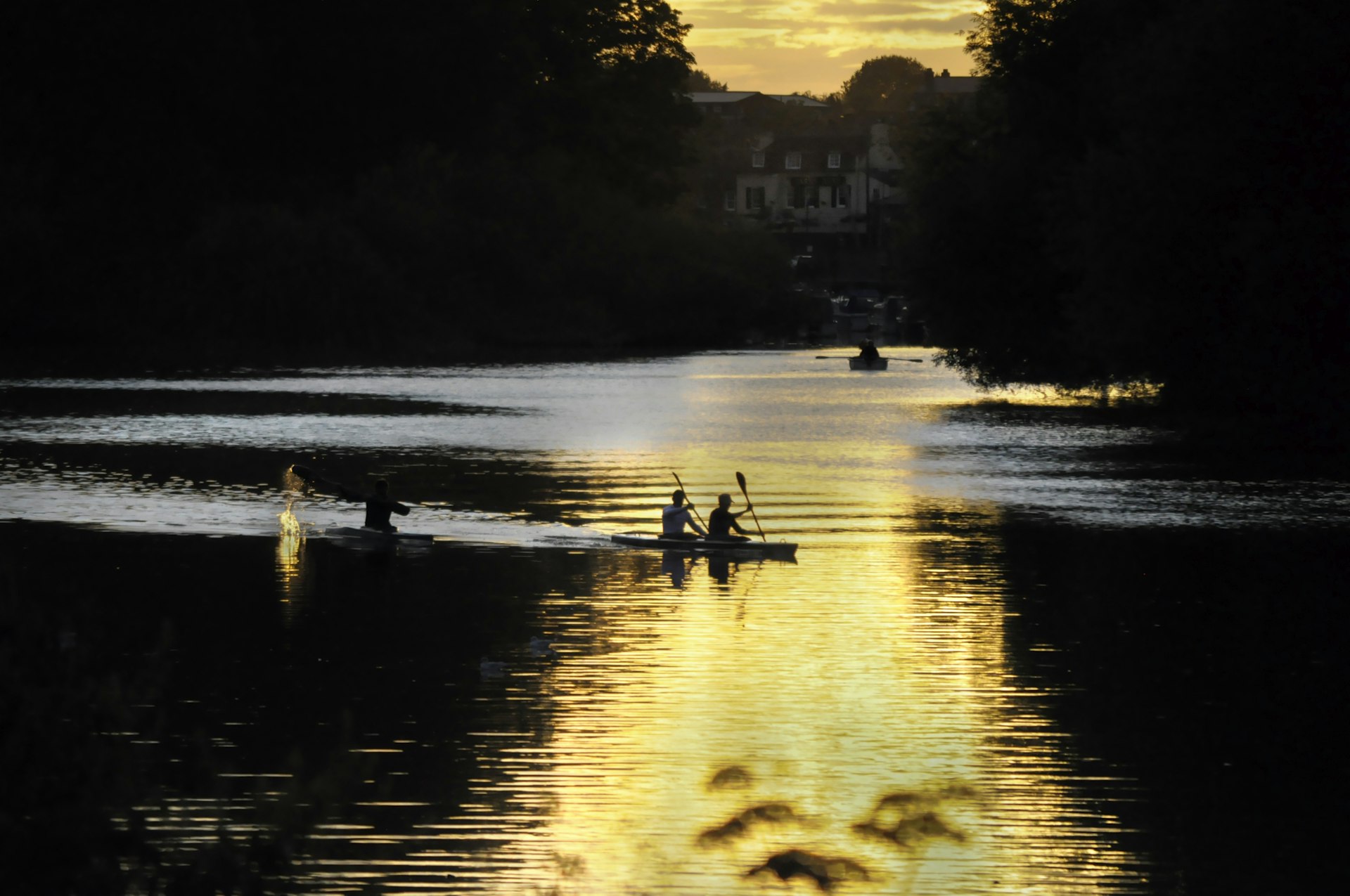 The silhouettes of rowers and the golden glow on still waters of the River Thames in the Autumn light at sunset.