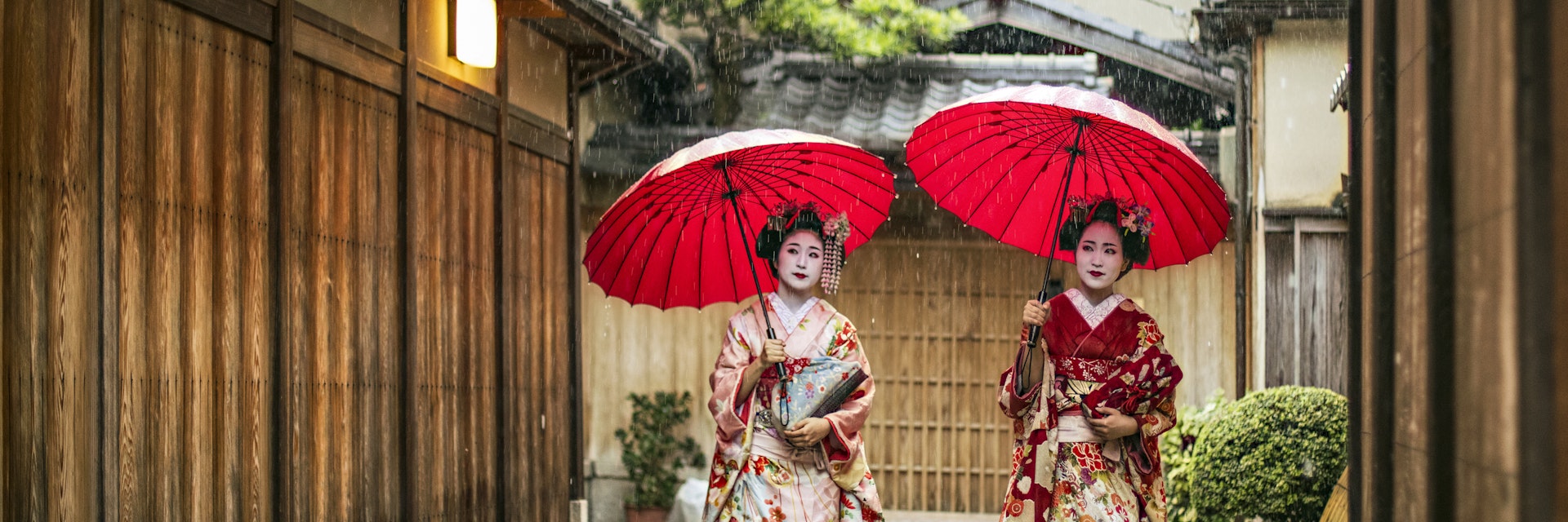 Full length of young maikos holding red umbrellas during rainy season. Beautiful geisha girls wearing traditional dress called kimono. They are walking on wet street.
641625768