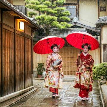 Full length of young maikos holding red umbrellas during rainy season. Beautiful geisha girls wearing traditional dress called kimono. They are walking on wet street.
641625768
