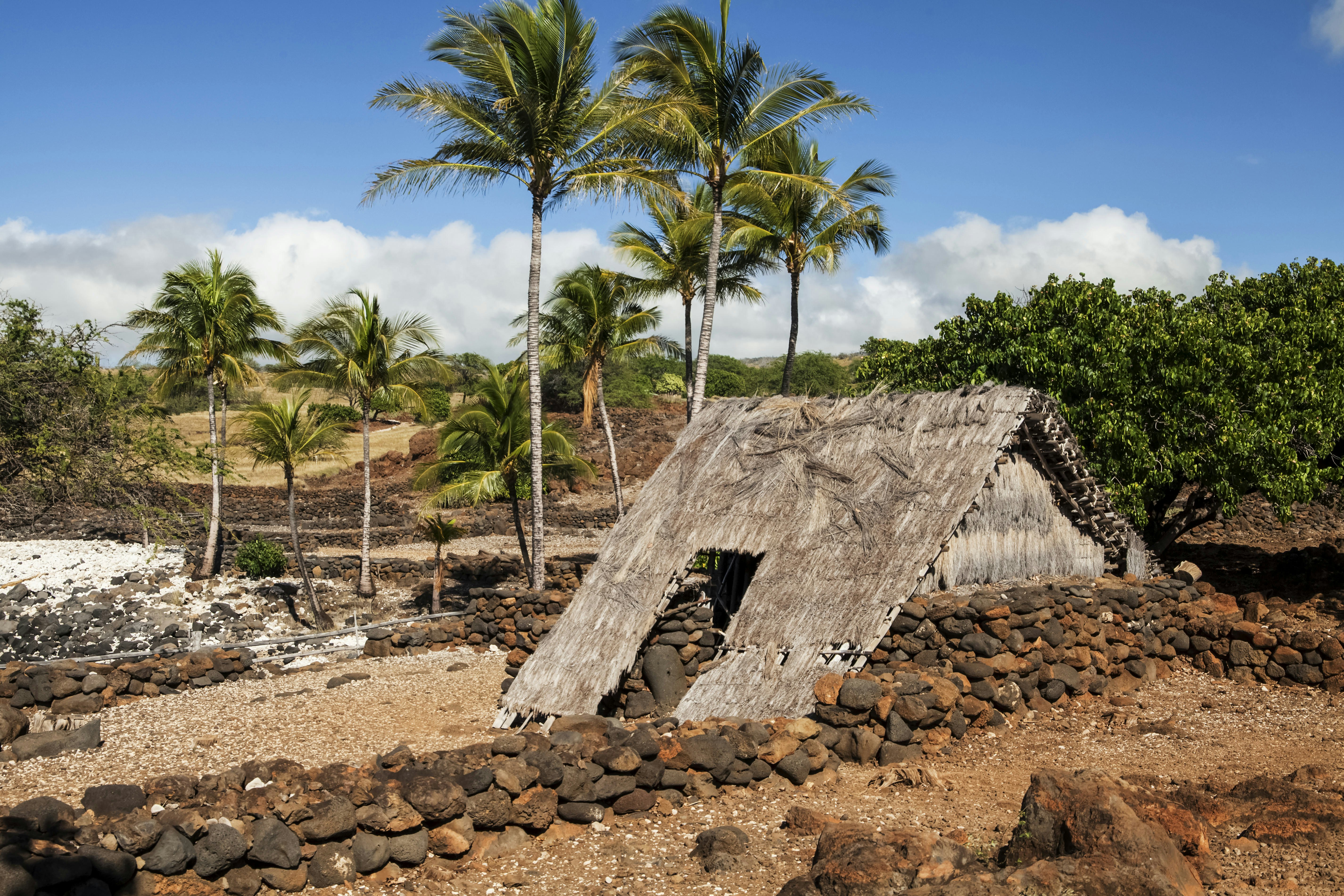 Hawaiian Hale (hut), old Hawaiian Village, Lapakahi State Historical Park, North Kohala Coast, between Kawaihae and Hawi
1033874888
Hut, Day, Hale, Tourism, History, Local Landmark, Hawaii Islands, Pacific Islands, Non-Urban Scene, Extreme Terrain, Hawaiian, Scenics - Nature, Tropical Climate, Coral - Cnidarian, Beach, No People, Photography, Color Image, Shore, Island, State Park, Big Island - Hawaii Islands, Travel Destinations, Horizontal, Cloud - Sky, Rock, Village, Kohala Coast, Palm Tree, Outdoors, Landscape - Scenery
