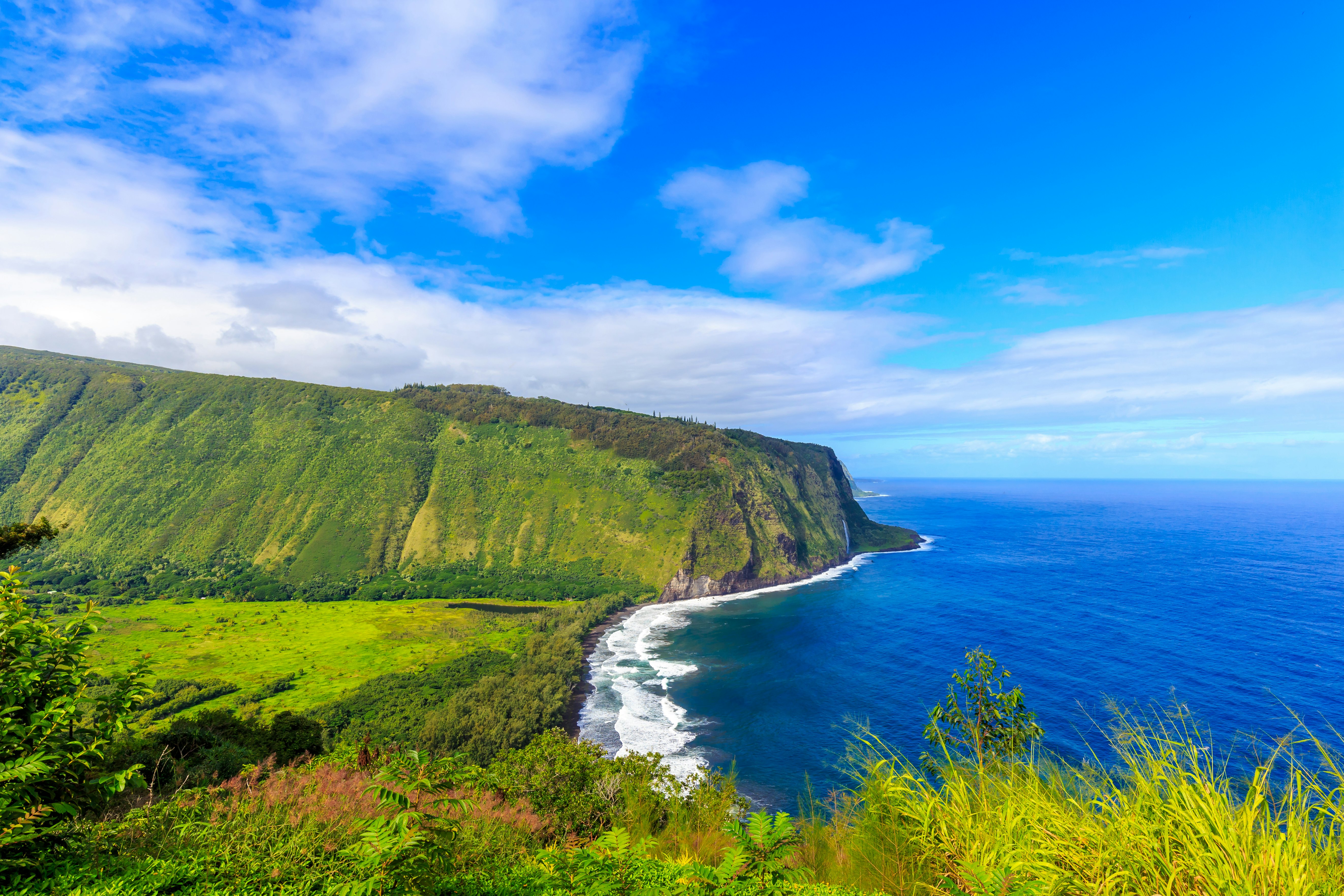 Big Island coastline, as seen from the Waipi'o Valley Lookout.
476130002
Water, Meadow, No People, Grass, Copy Space, Big Island - Hawaii Islands, Sky, Nature, 2015, Cloud - Sky, Photography, Horizontal, Sea, Tree, Pacific Ocean, North America, Hawaii Islands, Outdoors, Pacific Islands, Valley, Mountain, Scenics - Nature, USA, Waipio Valley