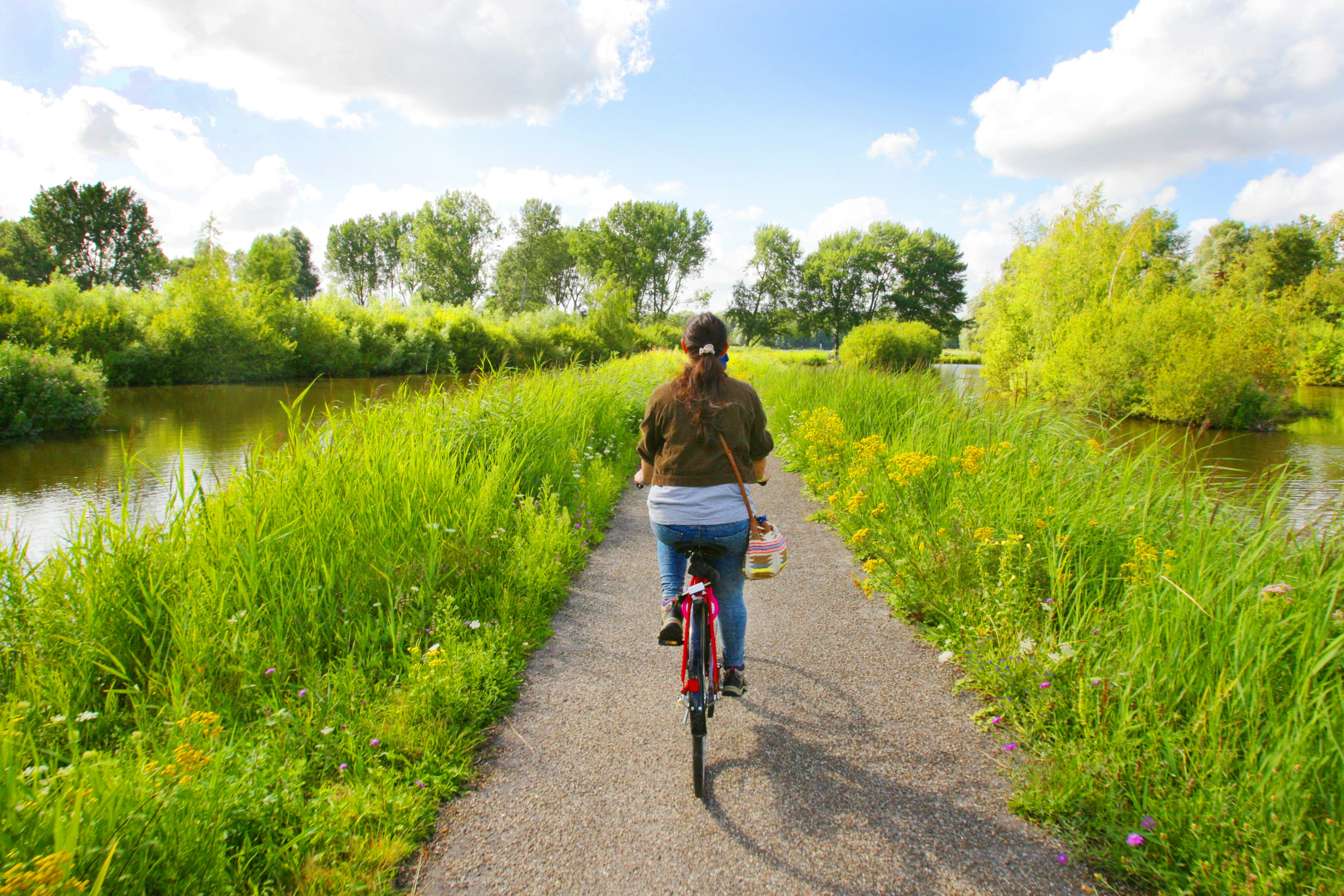 A girl riding bicycle during summer in the Netherlands with water on either side of the cycle track