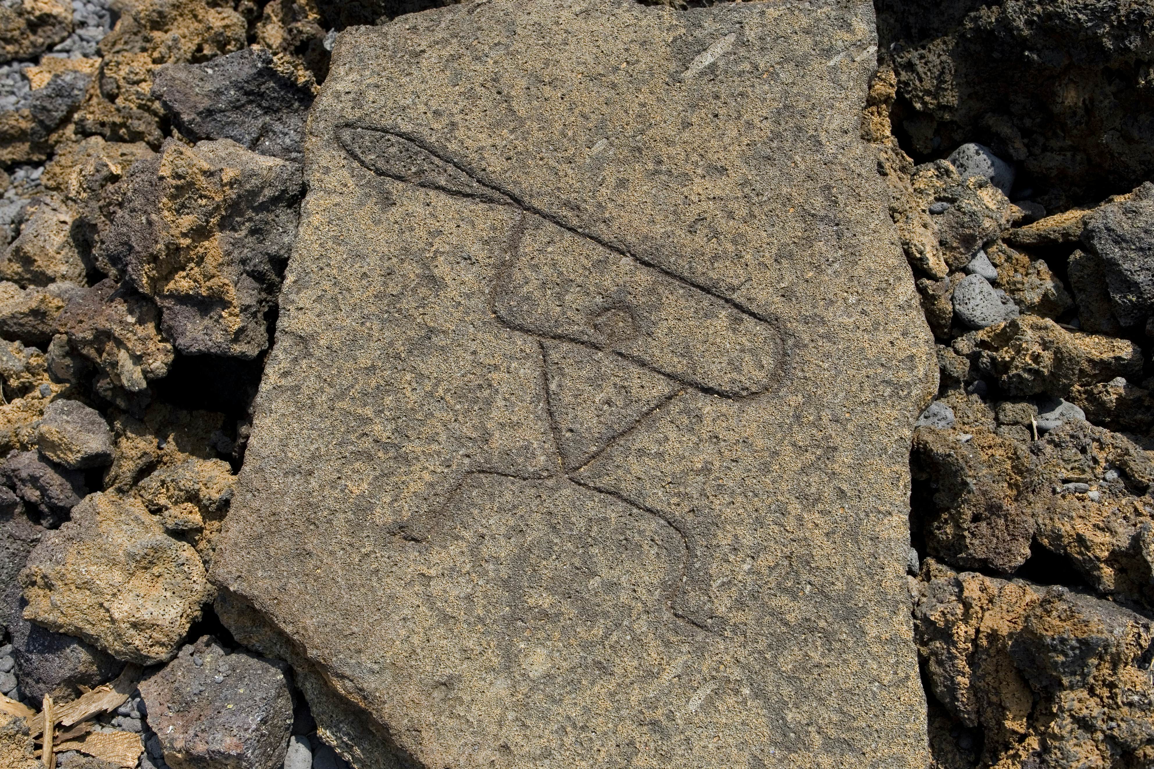 26467-129
Big Island, Hawaii, Kohala Coast, North America, United States
Puako Petroglyph Preserve, South Kohala.