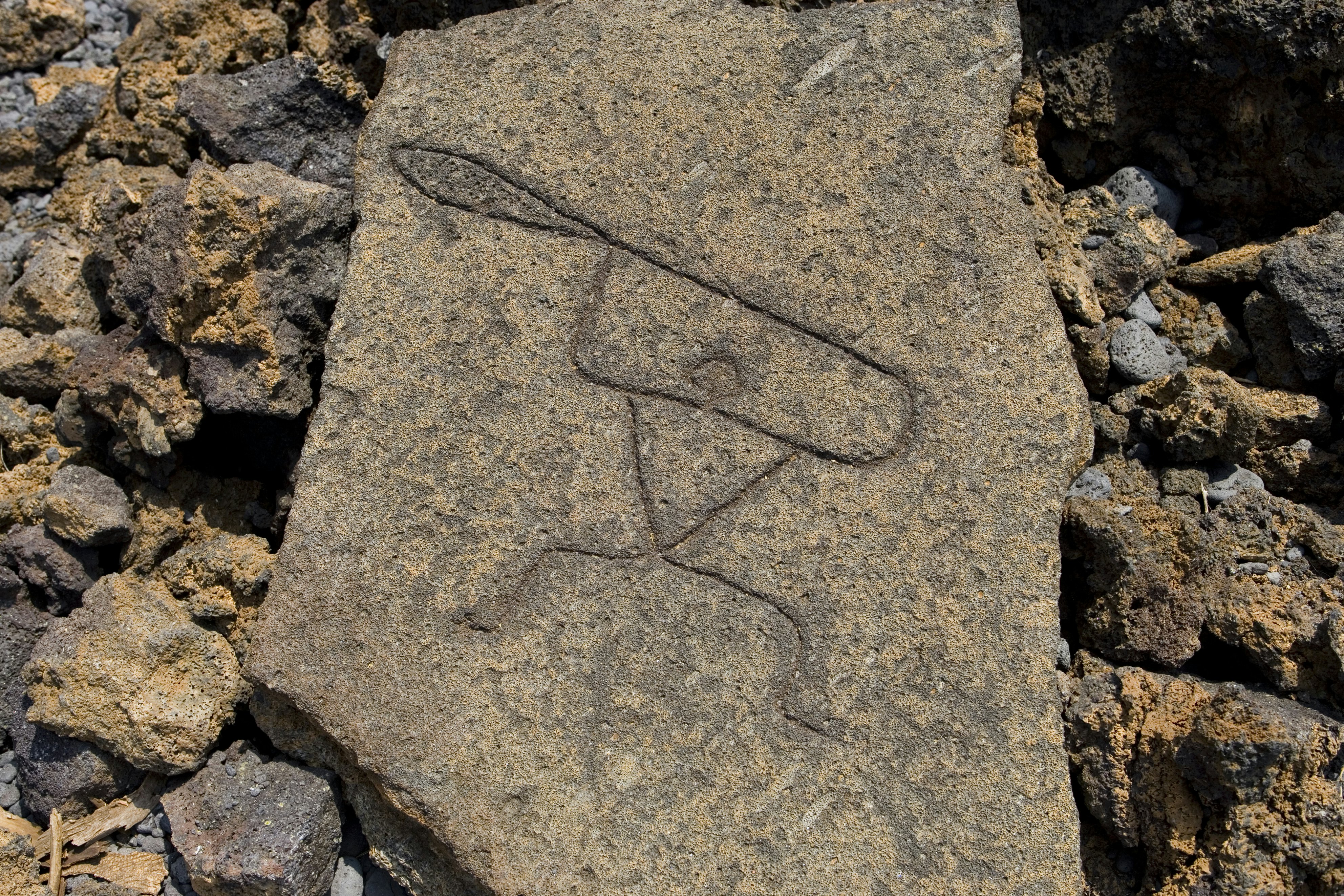 26467-129
Big Island, Hawaii, Kohala Coast, North America, United States
Puako Petroglyph Preserve, South Kohala.