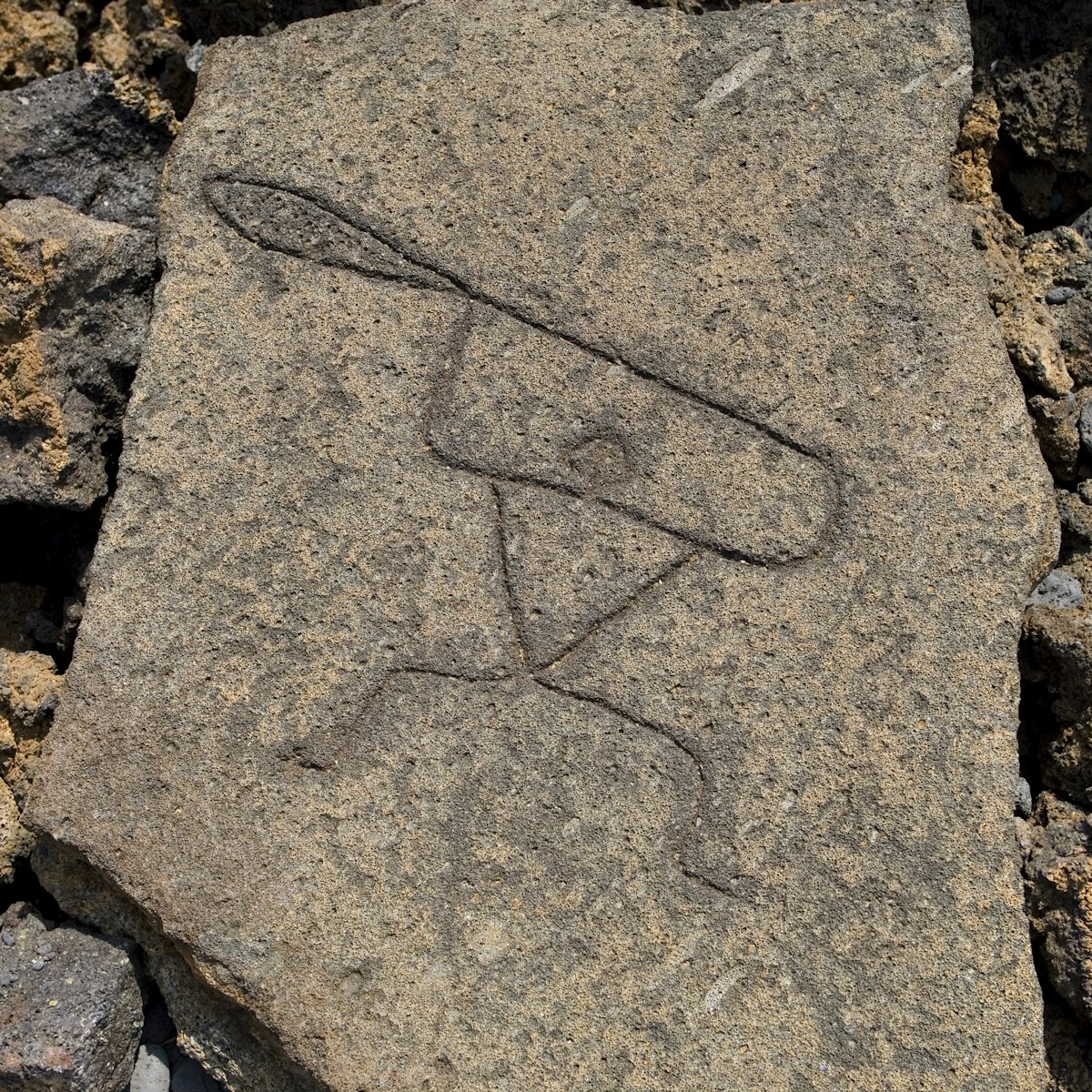26467-129
Big Island, Hawaii, Kohala Coast, North America, United States
Puako Petroglyph Preserve, South Kohala.