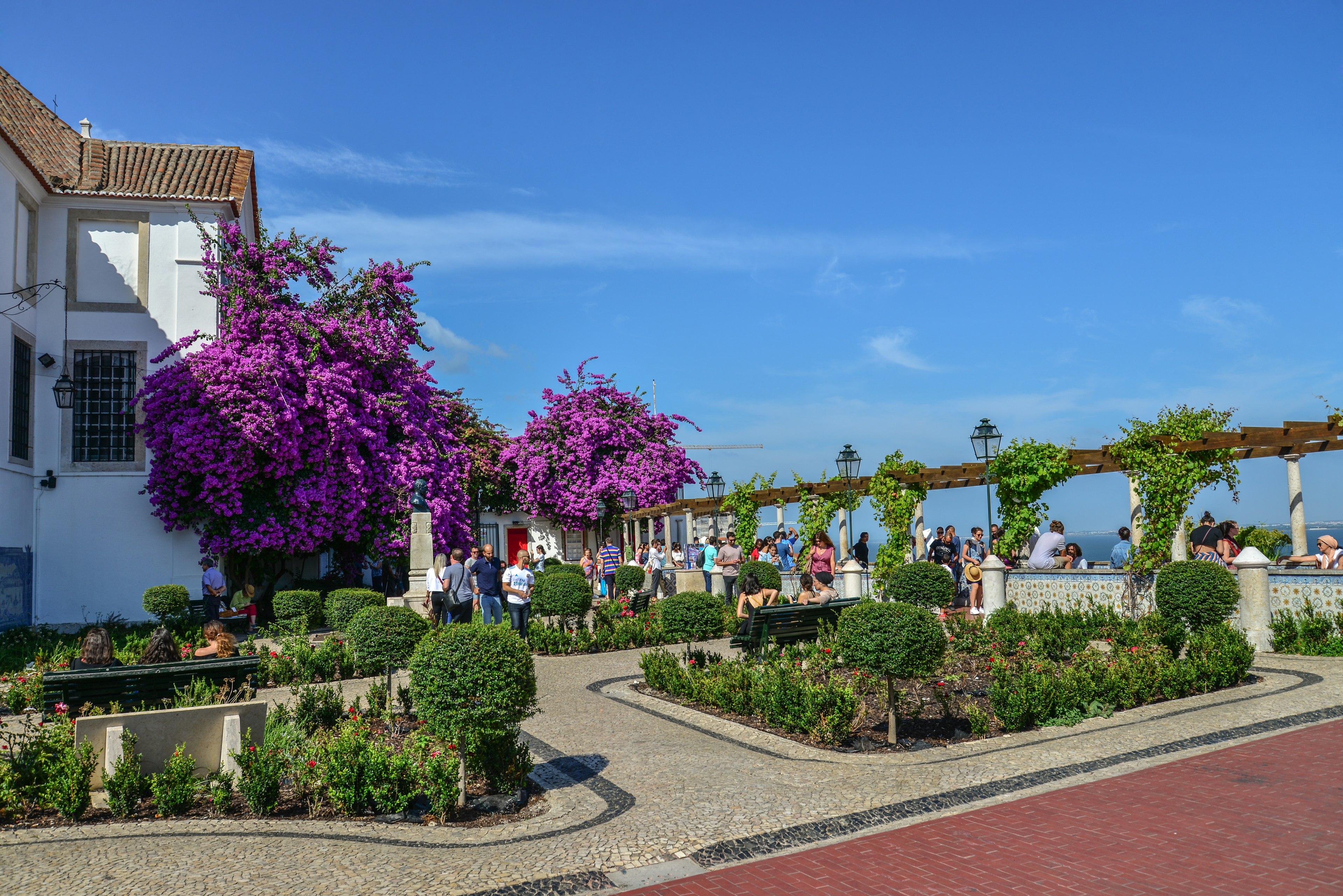 People relaxing at a viewpoint in a city surrounded by landscaped gardens and a tree in bloom