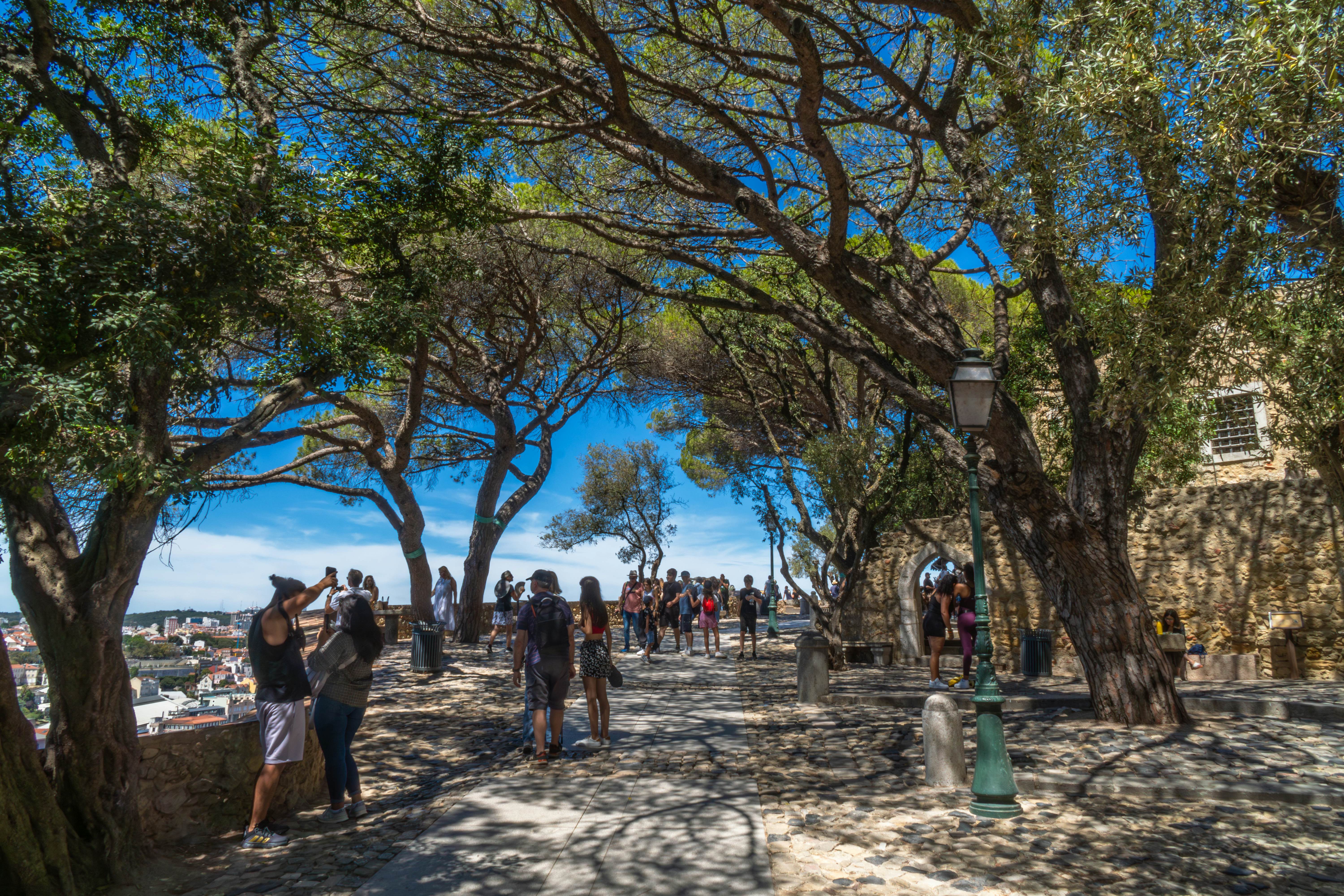 Tourists and families walking and taking photos in the gardens of the Castle of Saint George in Lisbon, Portugal.
1992119108