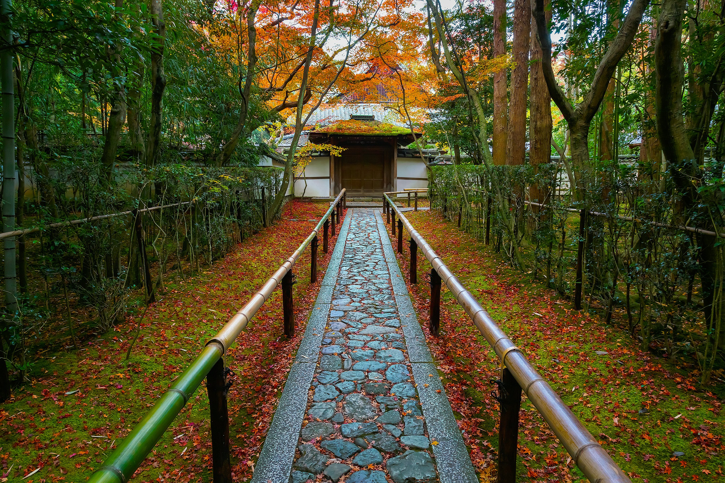 Kyoto, Japan - November 23 2015: Koto-in Temple is one of Daitokuji sub temples, founded in 1601 and it's probably the most popular temple in Daitokuji
601366258
Buddha, Buddhism, Backgrounds, Multi Colored, Architecture, Nature, Tokyo Prefecture, Japan, Asia, Autumn, Shrine, Pagoda, momiji, Daitokuji, Daitoku-ji