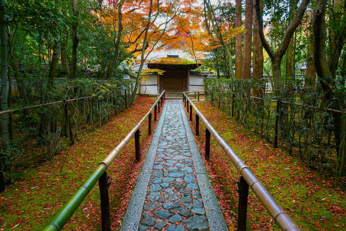 Kyoto, Japan - November 23 2015: Koto-in Temple is one of Daitokuji sub temples, founded in 1601 and it's probably the most popular temple in Daitokuji
601366258
Buddha, Buddhism, Backgrounds, Multi Colored, Architecture, Nature, Tokyo Prefecture, Japan, Asia, Autumn, Shrine, Pagoda, momiji, Daitokuji, Daitoku-ji