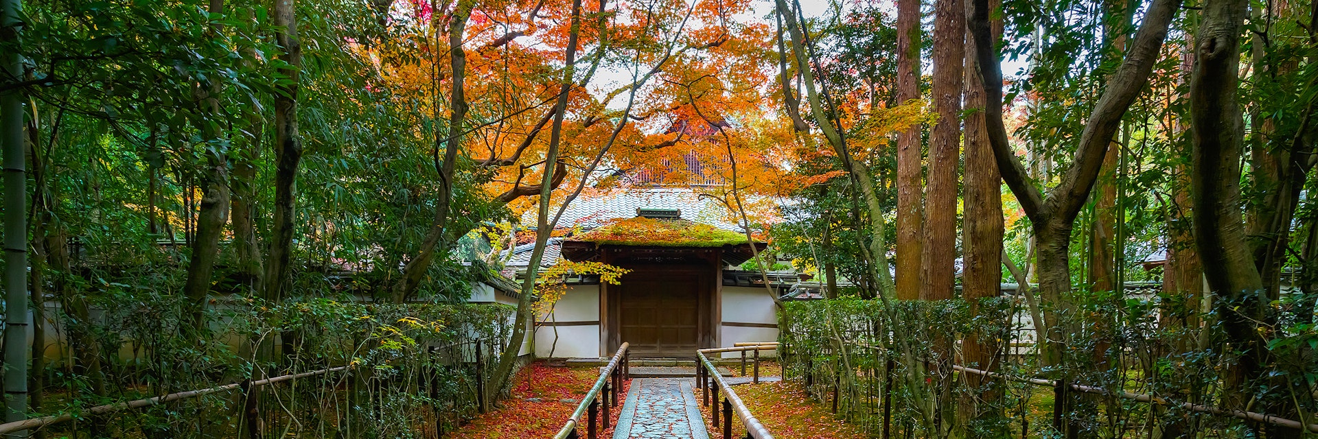 Kyoto, Japan - November 23 2015: Koto-in Temple is one of Daitokuji sub temples, founded in 1601 and it's probably the most popular temple in Daitokuji
601366258
Buddha, Buddhism, Backgrounds, Multi Colored, Architecture, Nature, Tokyo Prefecture, Japan, Asia, Autumn, Shrine, Pagoda, momiji, Daitokuji, Daitoku-ji