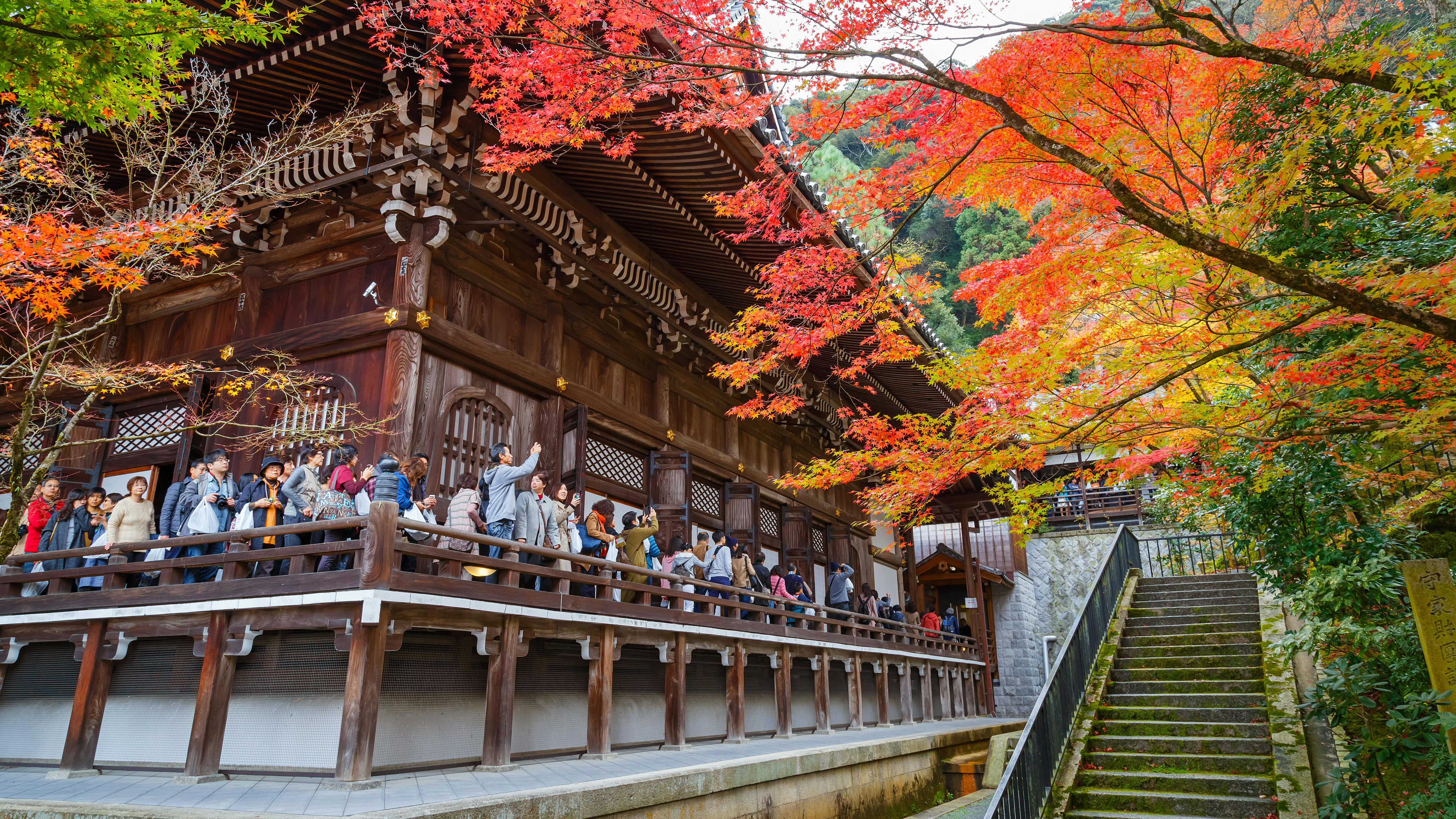 Kyoto, Japan - November 22 2015: Eikando (View of Eternity Hall) Zenrinji (Temple of Forest of Zen), founded in 853, houses a famous Amida statue which a Japanese important Cultural Property
612760626
Kinki Region, Buddha, Shinto, Buddhism, Scenics, Journey, Spirituality, Famous Place, Architecture, Nature, Outdoors, Japan, Asia, Tree, Autumn, Season, Shrine, momiji, Eikando