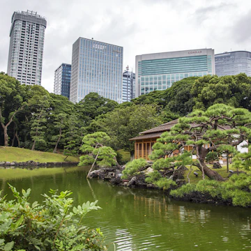 Tokyo, Japan - October 3, 2016: View at modern skyscrapers and Hamarikyu Gardens in Tokyo. It is a public park opened April 1, 1946.
639141584
Building Exterior, Landscaped, Green Color, Japanese Culture, Urban Scene, Outdoors, Tokyo Prefecture, Japan, Asia, Tree, Plant, Lake, Formal Garden, Park - Man Made Space, City, Hamarikyu