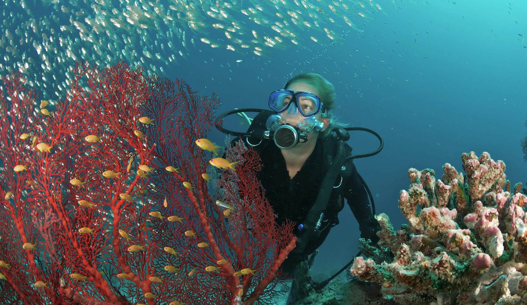 Scuba diving in Maldives