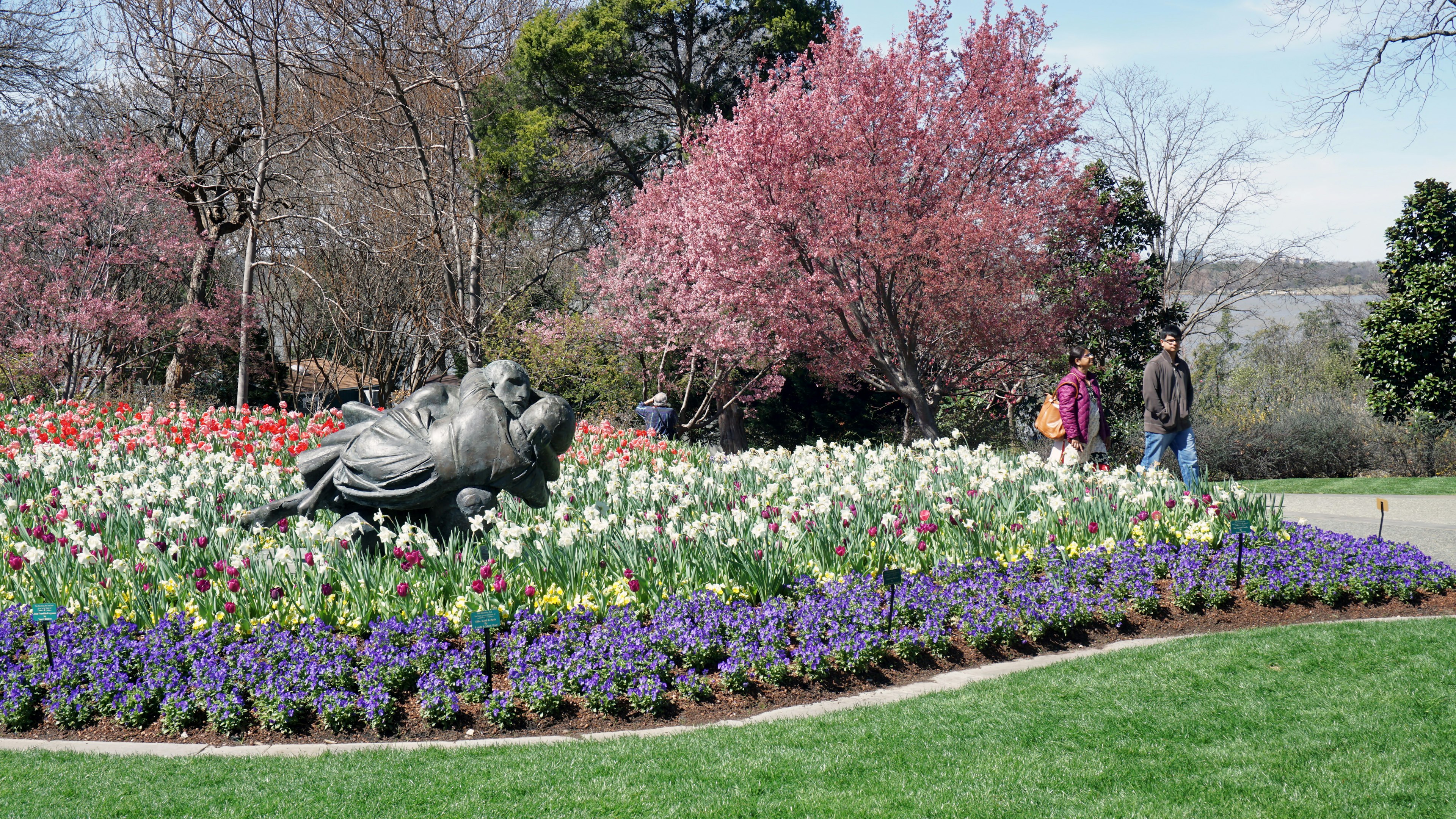 People walking amongst flowers on a spring day at Dallas Arboretum and Botanical Garden, Texas