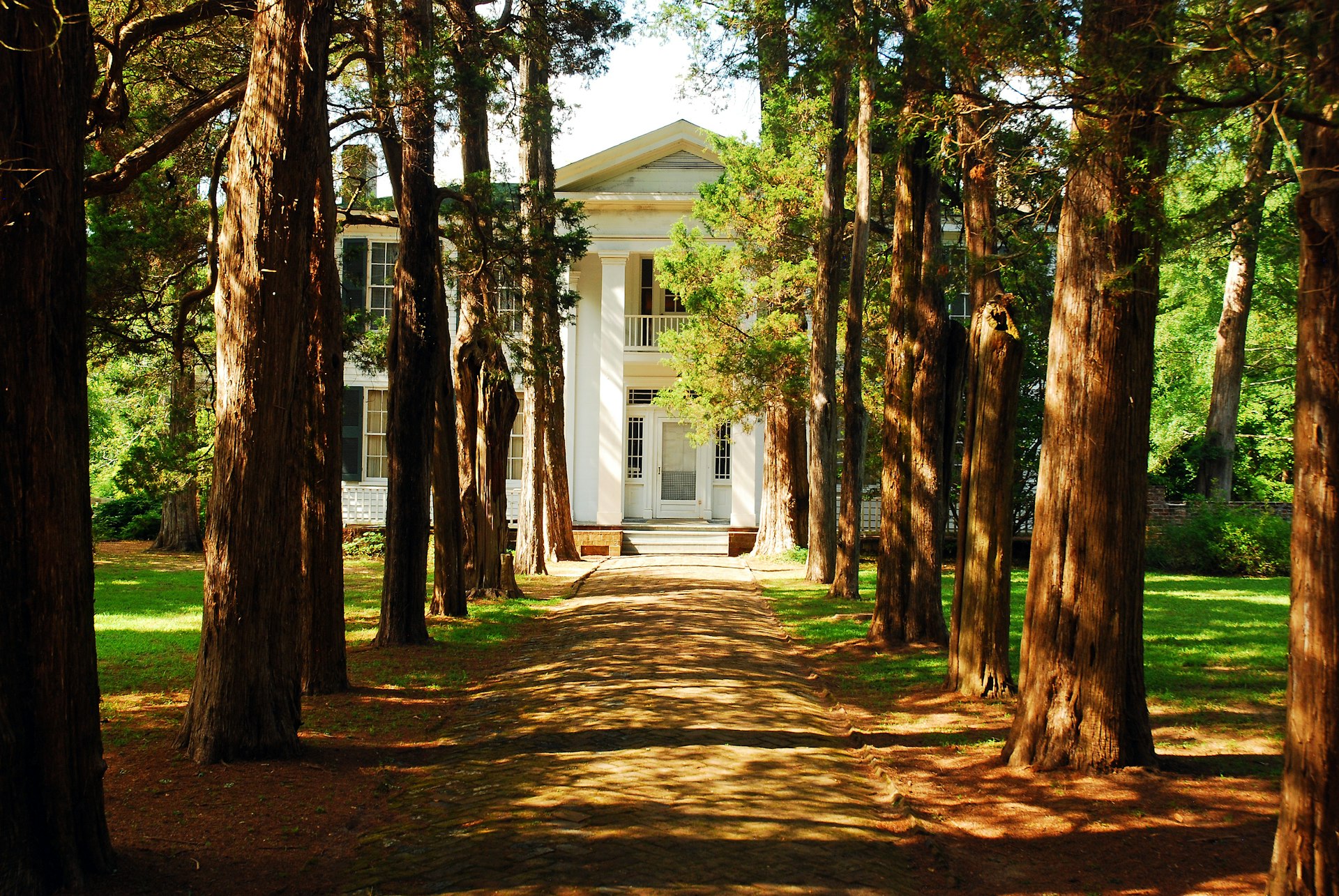 A picturesque tree-lined path leads to a large house
