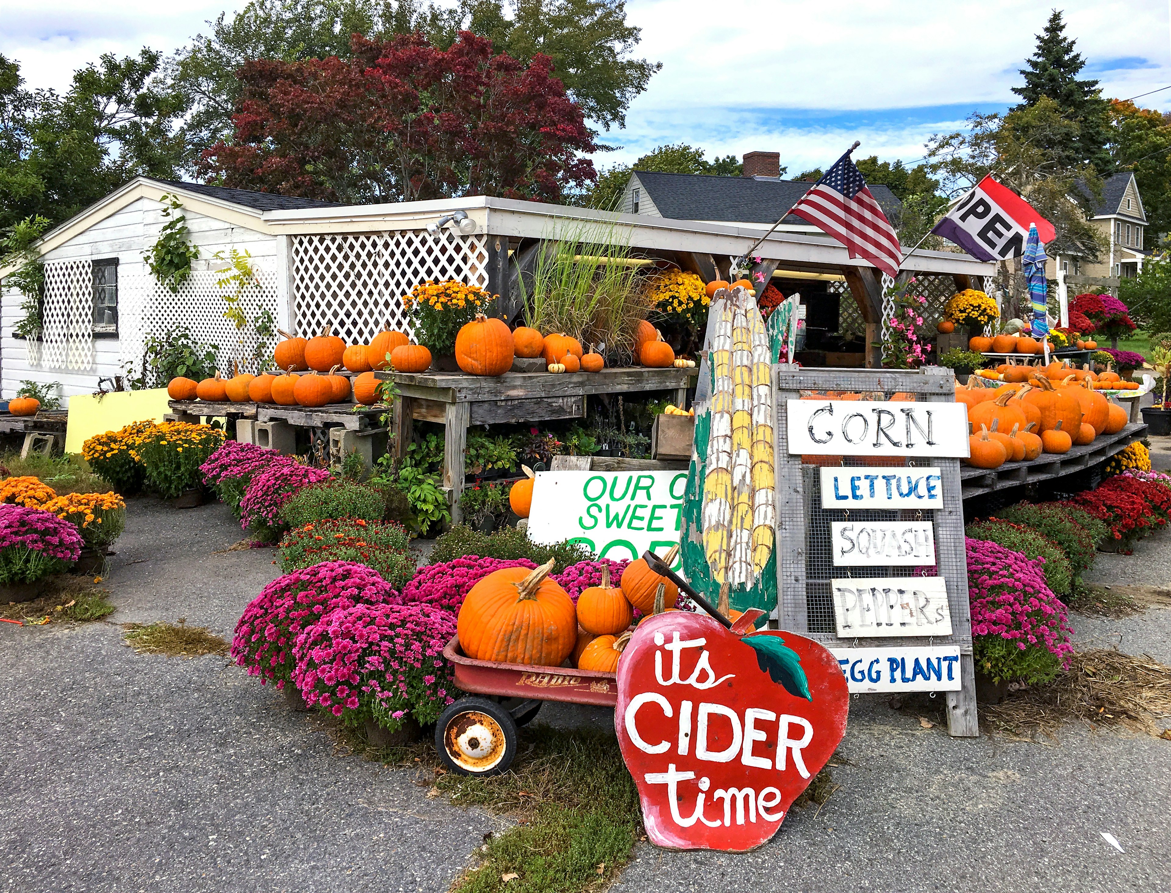 A roadside farm stand selling pumpkins and other produce, Concord, Massachusetts, USA