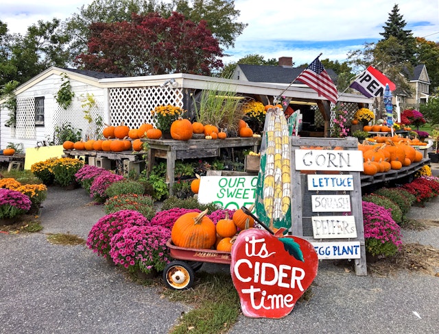 A roadside farm stand selling pumpkins and other produce, Concord, Massachusetts, USA