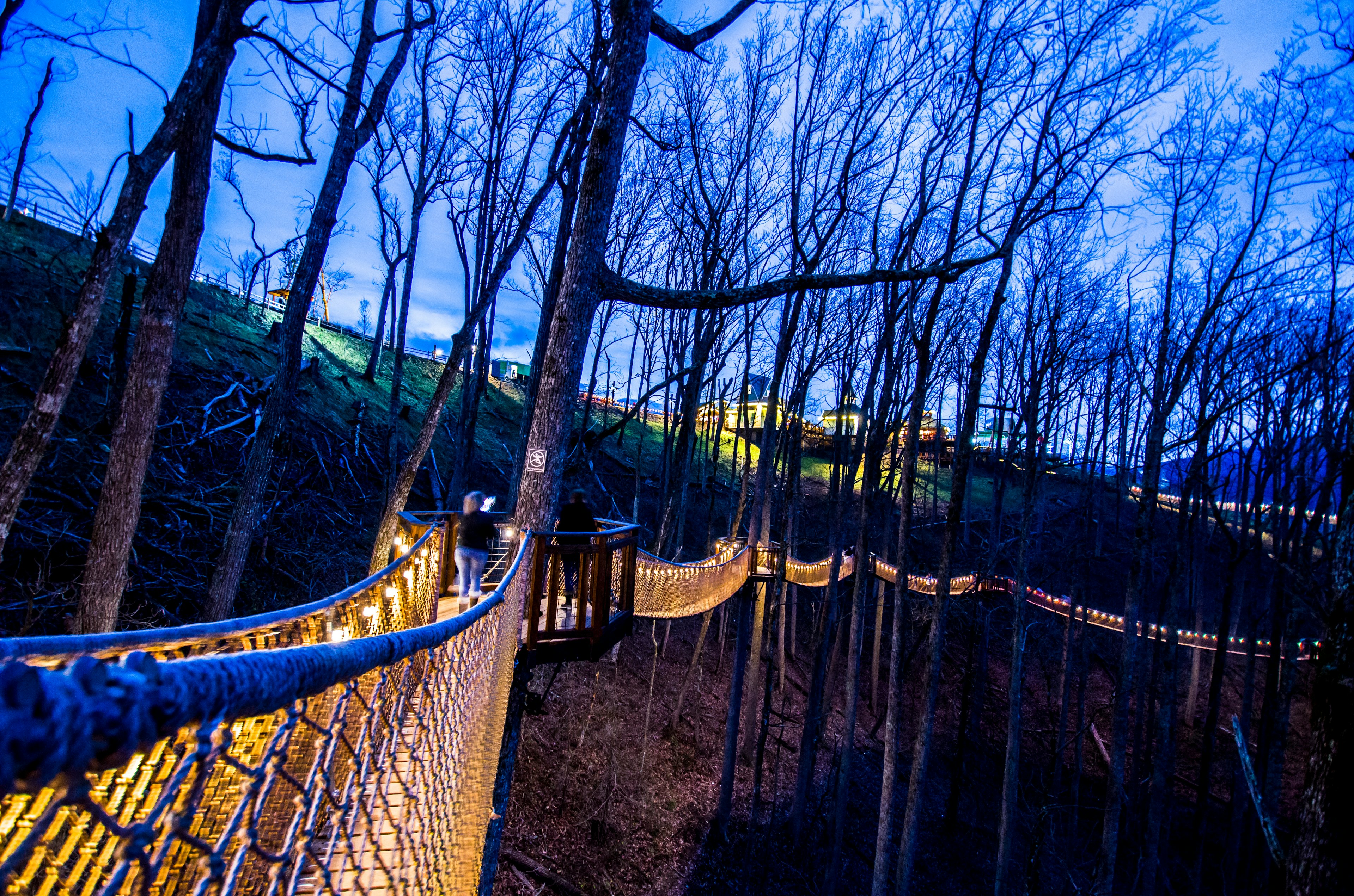 Tree-top bridge walk at dusk, Anakeesta Adventure Park, Gatlinburg, Tennessee, USA