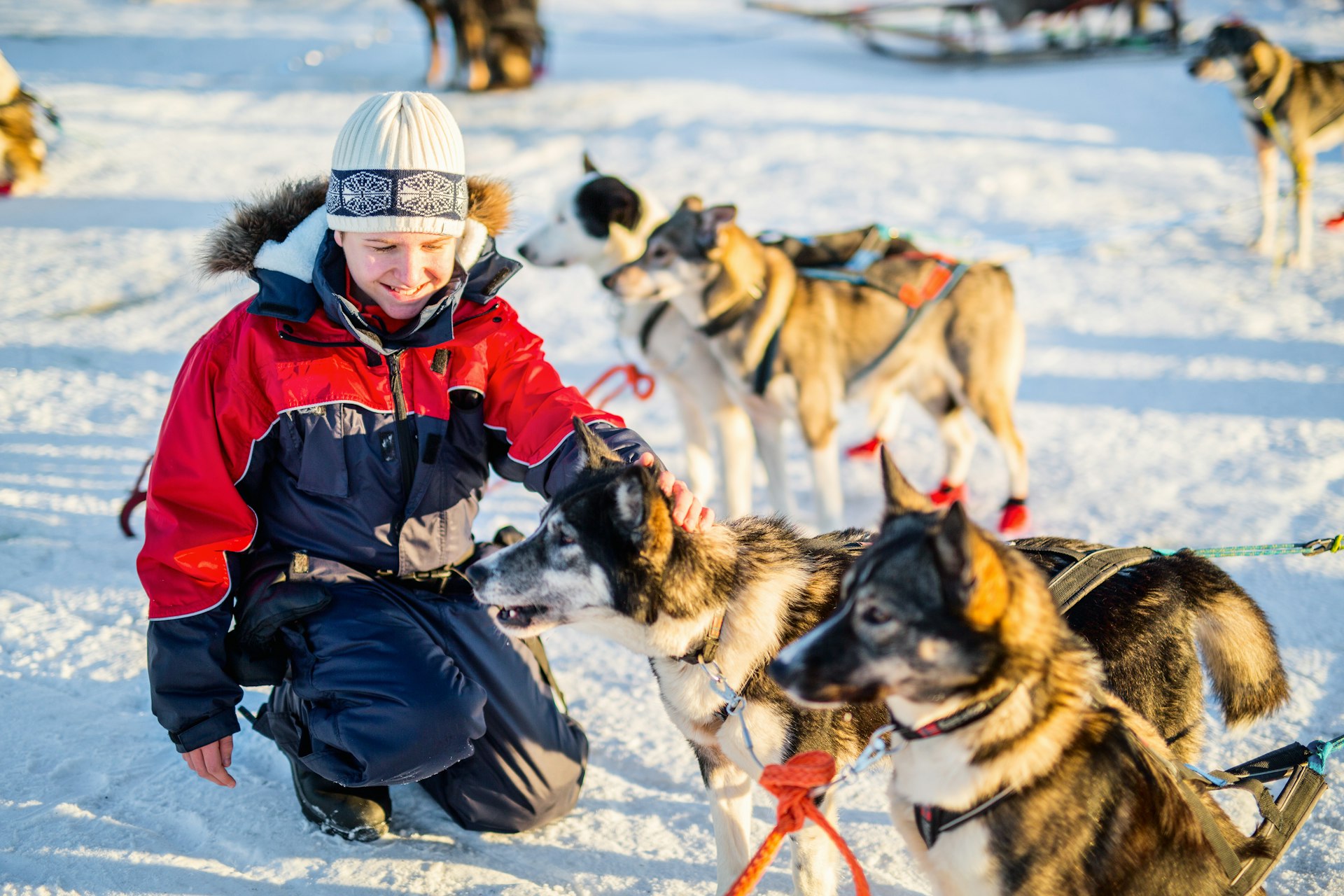 A teenage boy having a cuddle with husky sled dog in Northern Norway