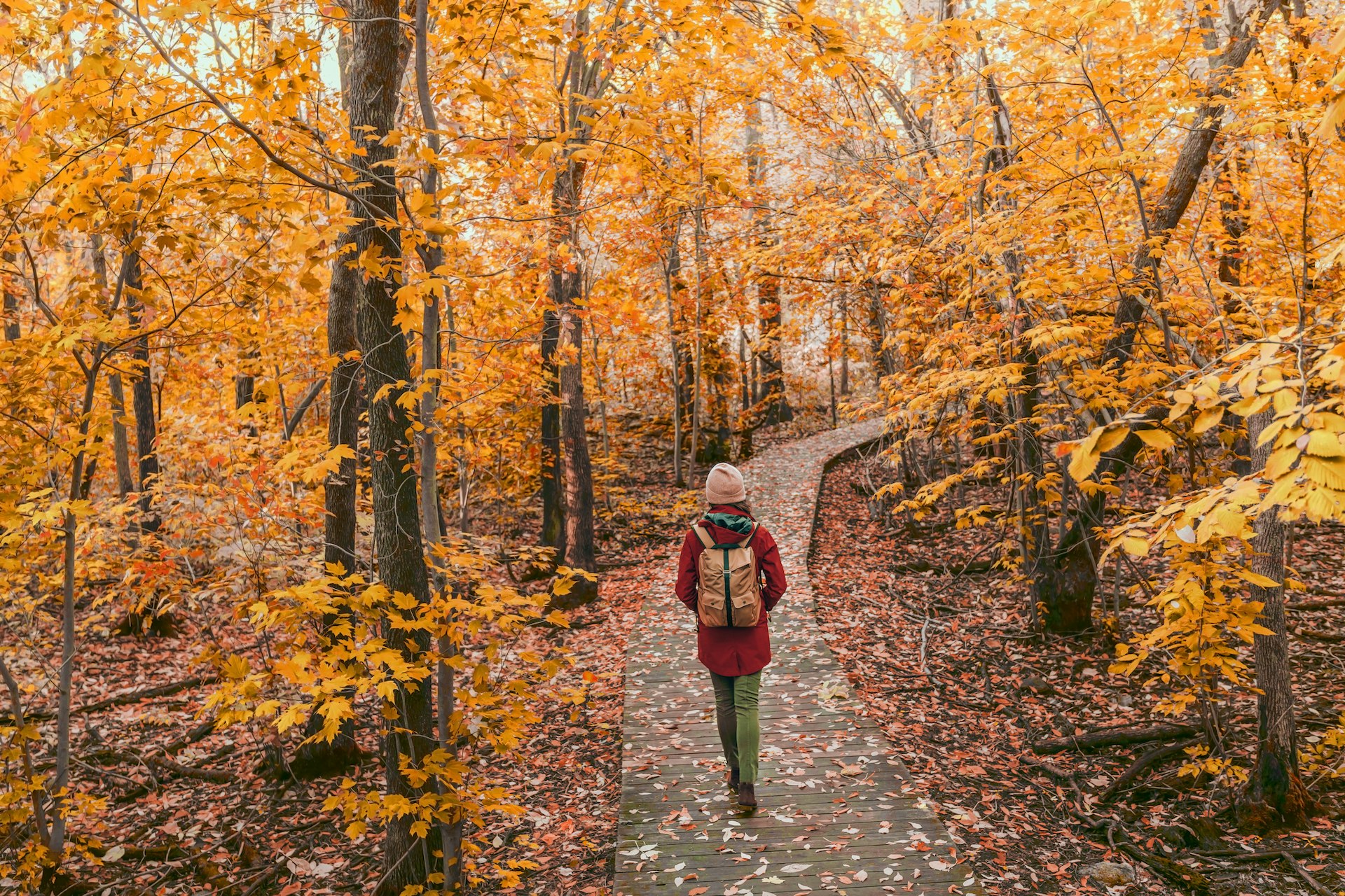 Woman walking in autumn foliage in Québec, Canada