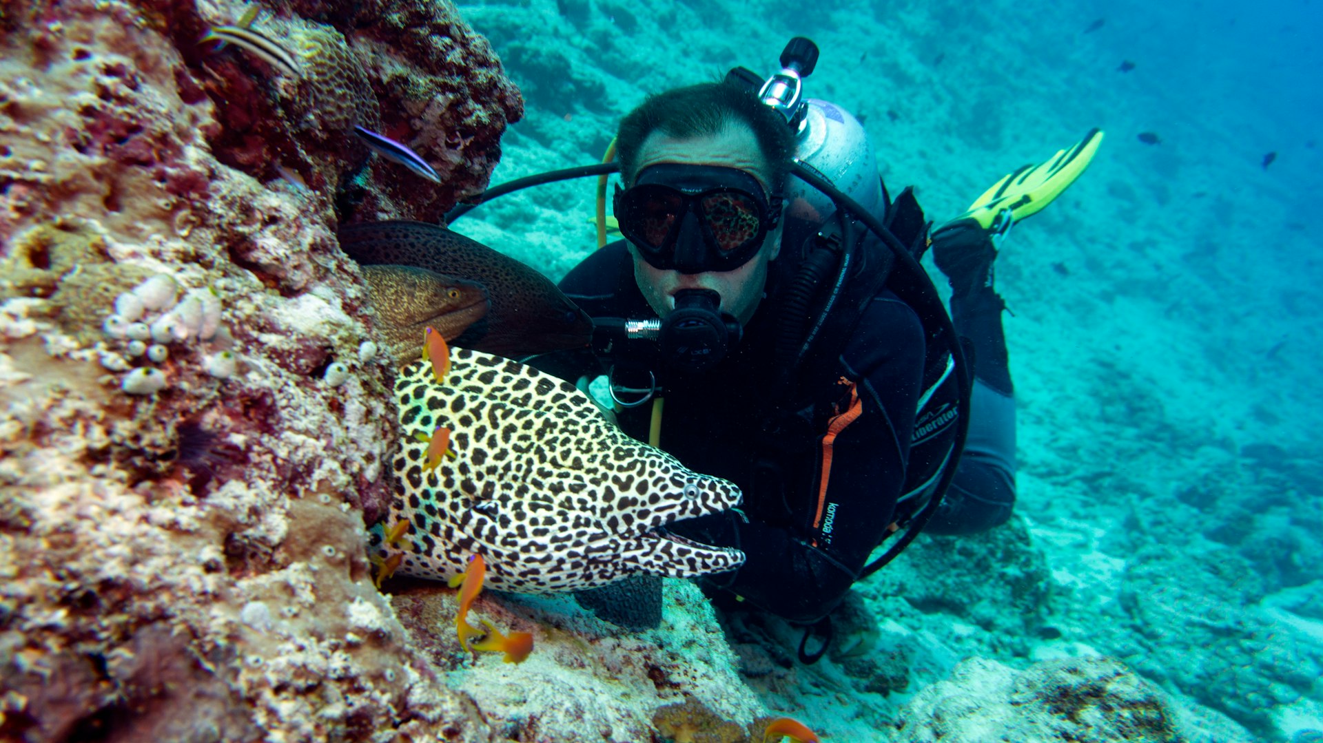 A scuba diver watches brightly colored fish at Velassaru Resort, Maldives