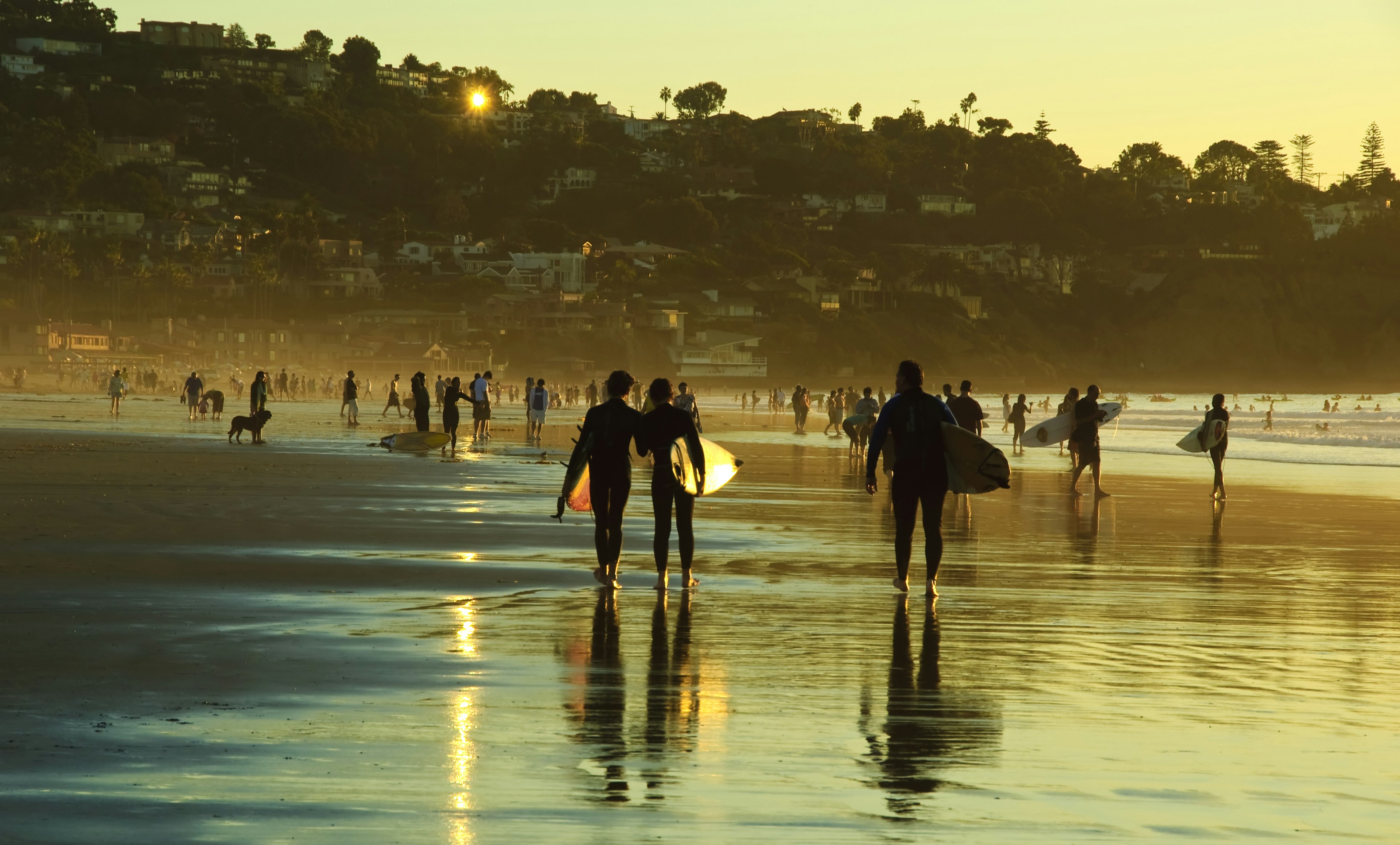 Surfers walking on the beach in La Jolla, San Diego, California, USA