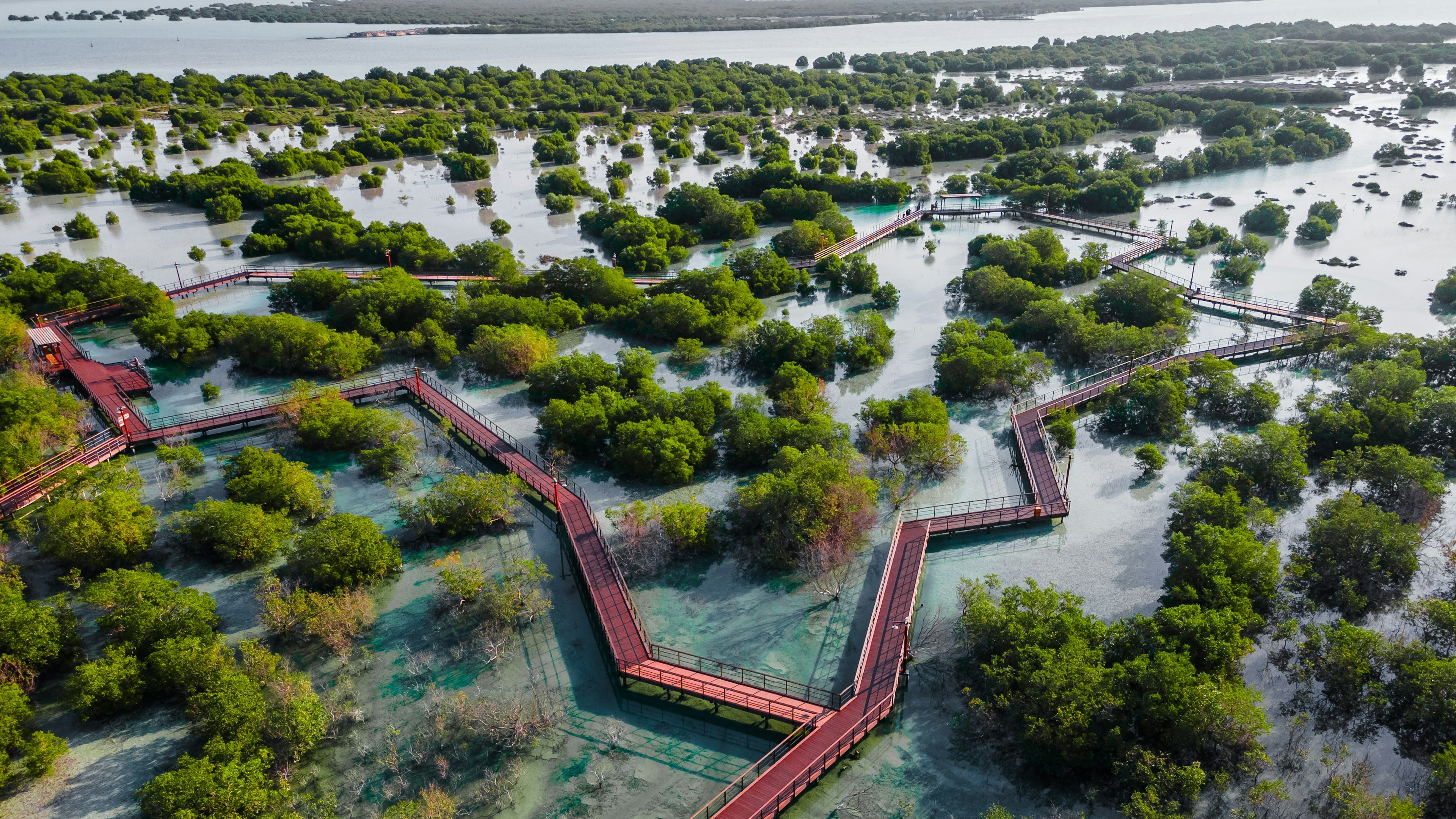 An aerial view of walkways at Jubail Mangrove Park, Abu Dhabi, United Arab Emirates