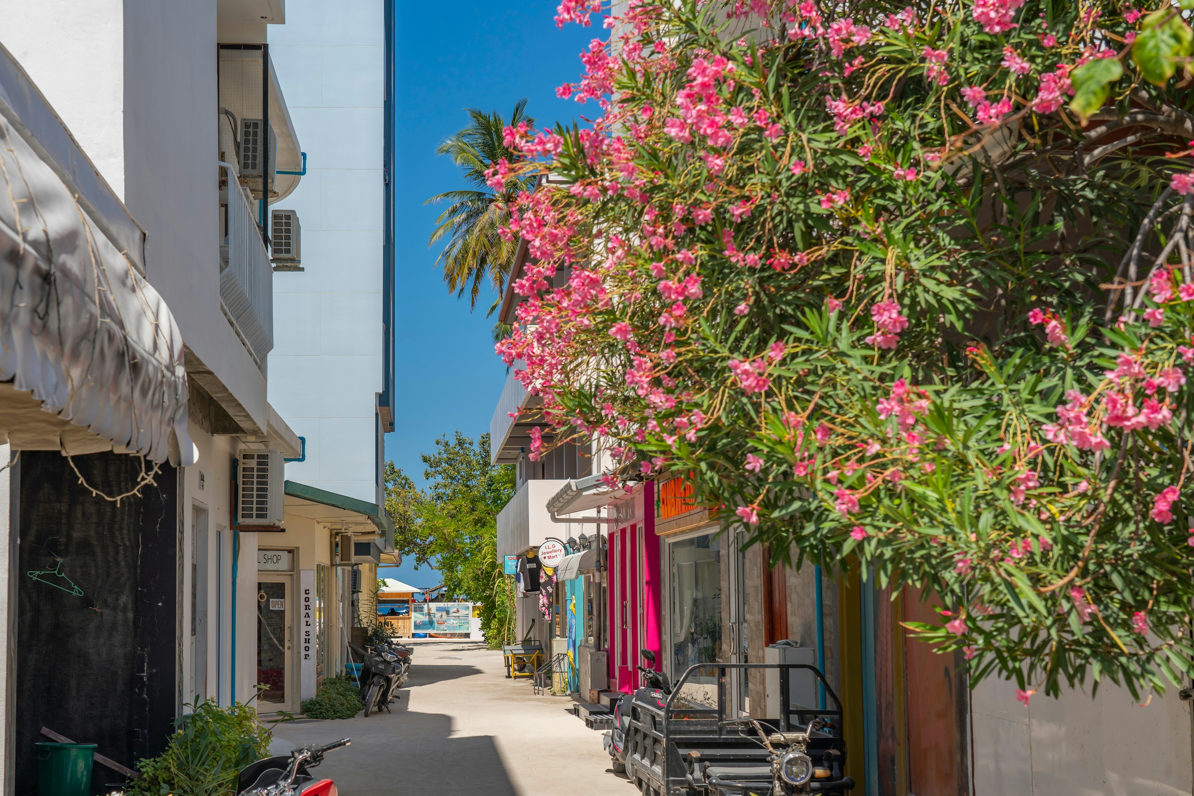 A street with flowers on Maafushi Island, Maldives