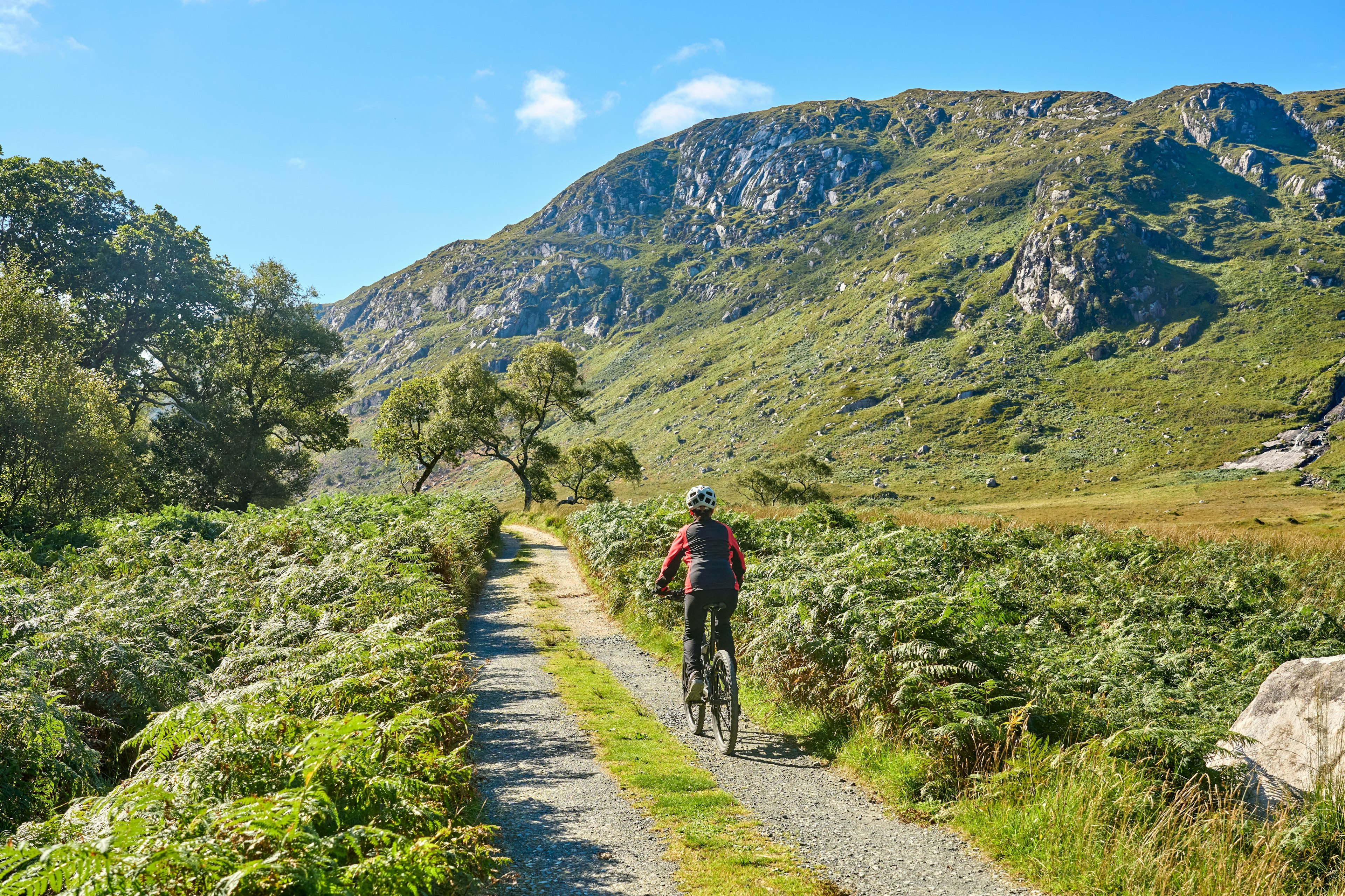 A cyclist in Lough Beagh, Glenveagh National Park, near Churchill, Donegal, Ireland