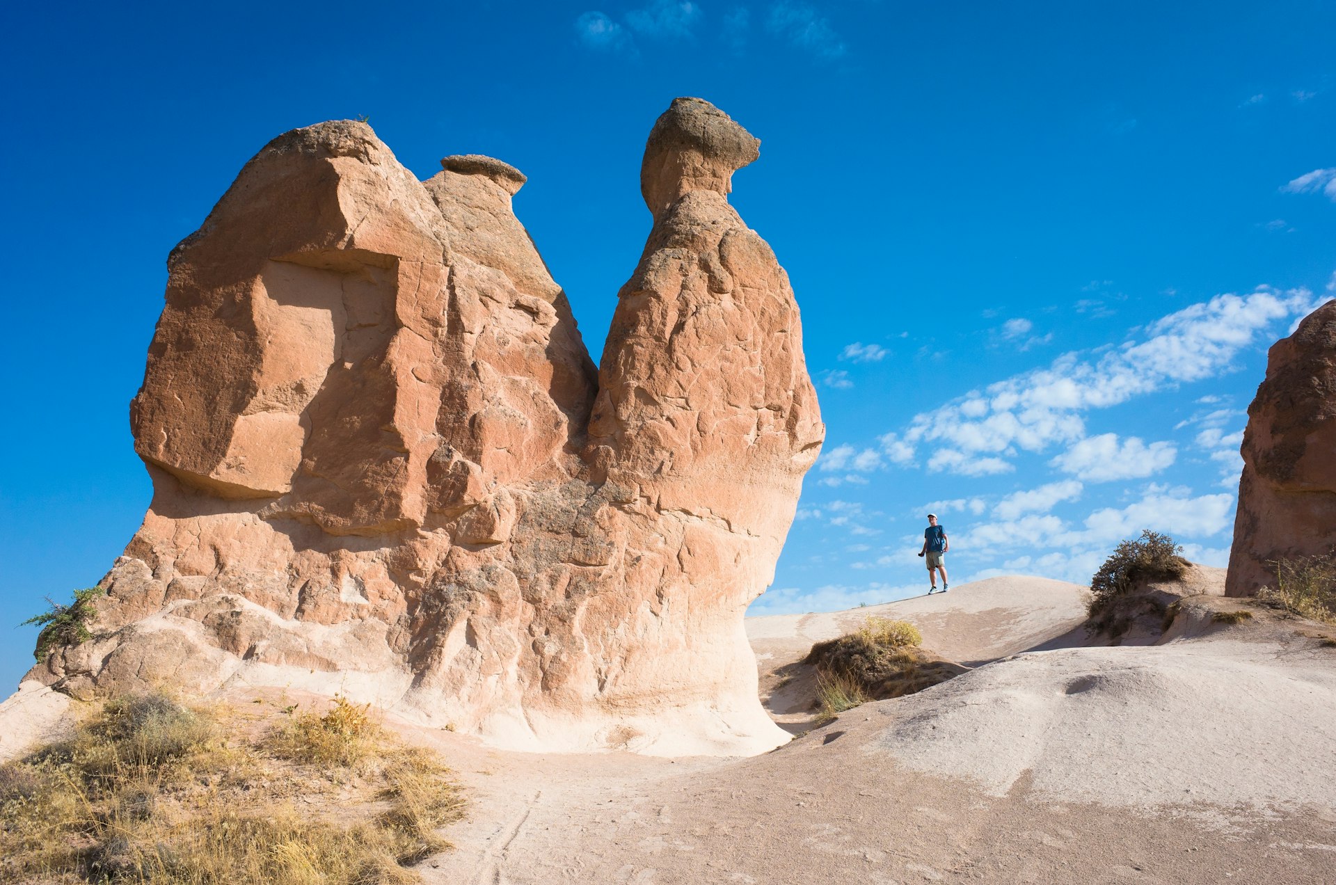 A sole tourist stands near a huge rock formation shaped like a camel