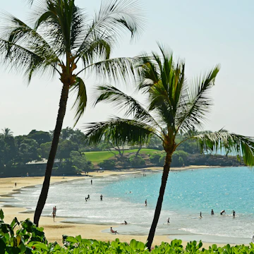 Hawaii, the Big Island, Mauna Kea Beach
583198357
big, sunbathing, palm, trees, beautiful, swimming, diving, vacation, exotic, resort, sky, surf, hawaii, kona, nature, island, shore, snorkeling, pacific, water, coconut, tropical, coast, mauna kea, sand, blue, ocean, beach, paradise, sailing, travel, landscape