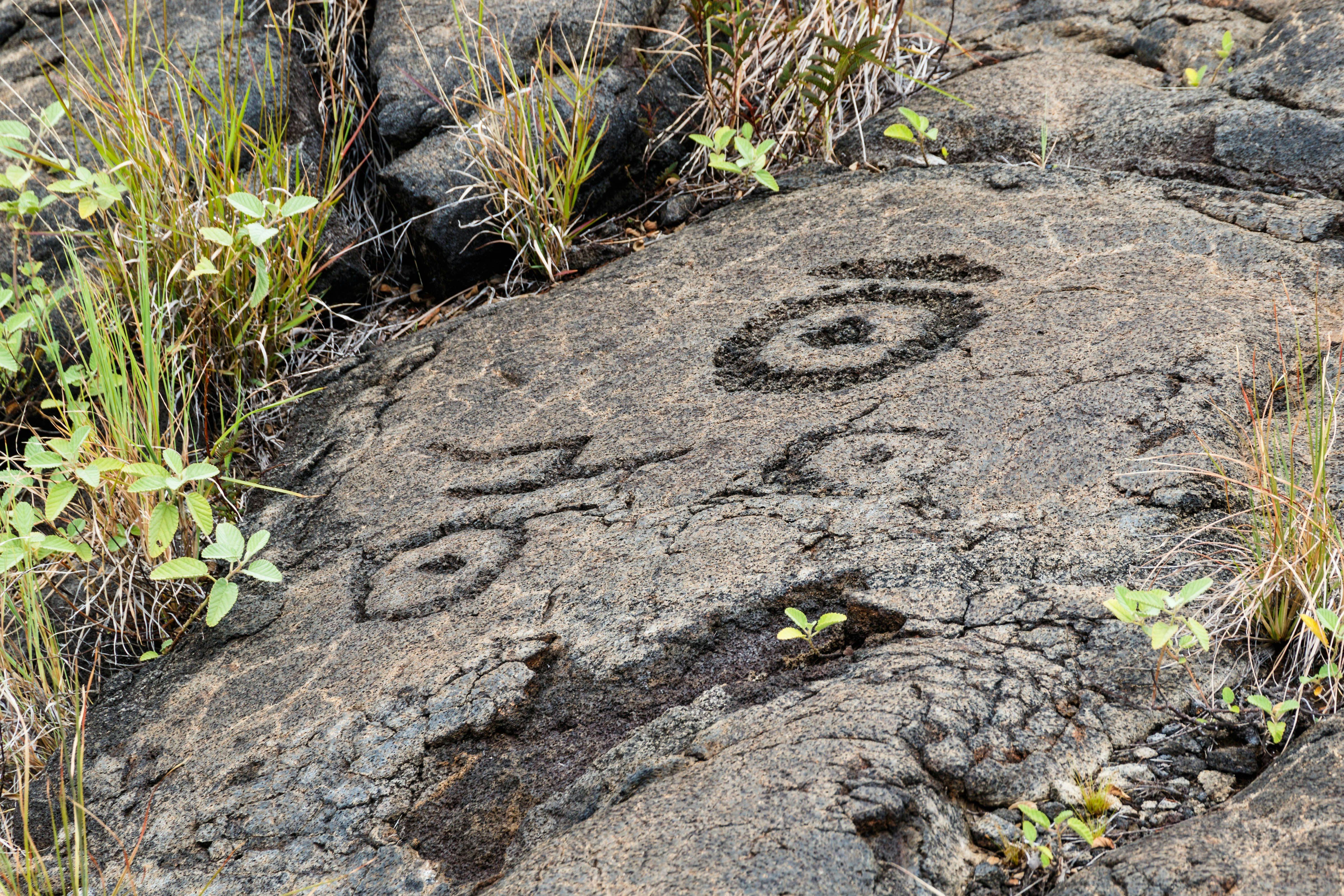 Petroglyphs in lava rock on an overcast day.