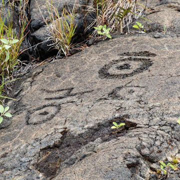 Petroglyphs in lava rock at Pu'uloa along Chain of Craters road, in the Volcanoes National Park.
1200494920
ancient, archeology, art, artwork, carving, chain, civilization, craters, culture, draw, drawing, hawaii, hawaiian, heritage, hill, historic, history, icon, indigenous, island, landmark, lava, loa, long, message, national, native, old, outdoors, park, petroglyph, polynesian, pu'u, pu'uloa, puu, puuloa, road, rock, sacred, spiritual, states, stone, symbol, travel, tribal, tropical, united, usa, volcano, writing
