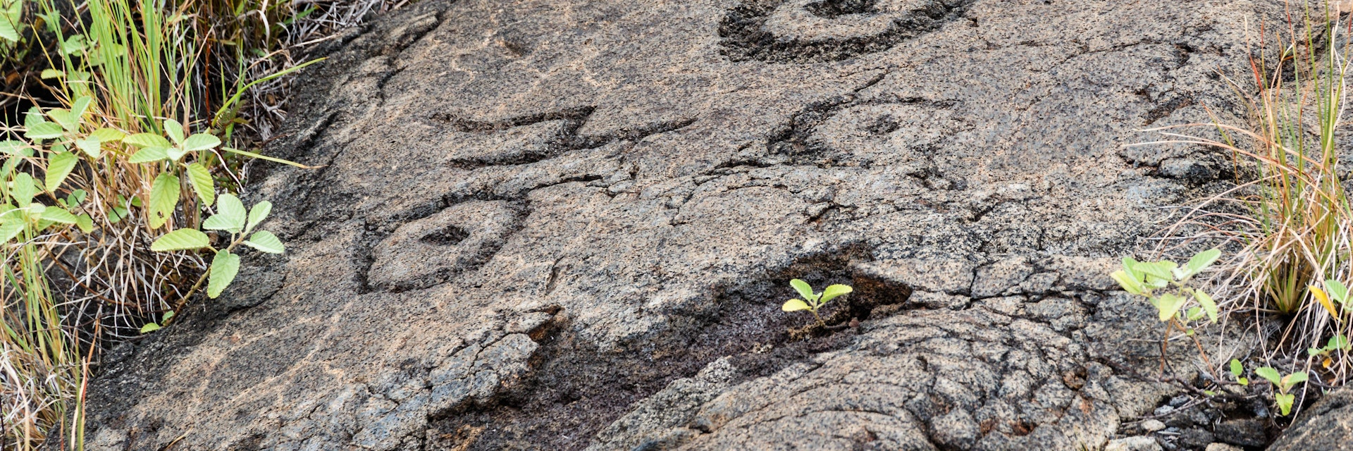 Petroglyphs in lava rock at Pu'uloa along Chain of Craters road, in the Volcanoes National Park.
1200494920
ancient, archeology, art, artwork, carving, chain, civilization, craters, culture, draw, drawing, hawaii, hawaiian, heritage, hill, historic, history, icon, indigenous, island, landmark, lava, loa, long, message, national, native, old, outdoors, park, petroglyph, polynesian, pu'u, pu'uloa, puu, puuloa, road, rock, sacred, spiritual, states, stone, symbol, travel, tribal, tropical, united, usa, volcano, writing