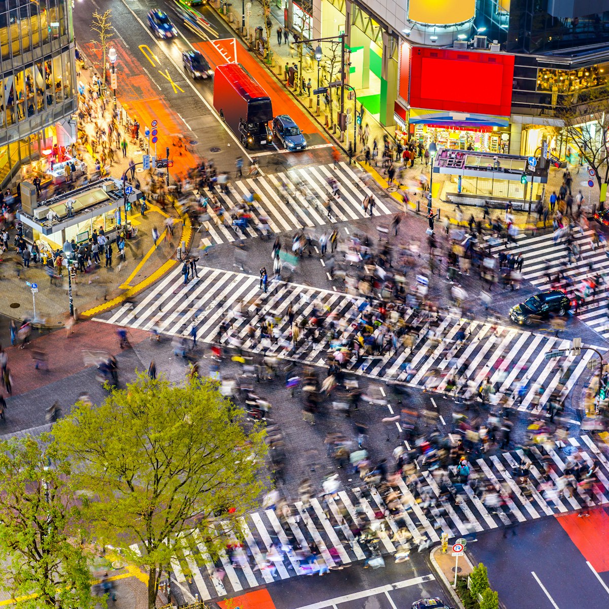 Tokyo, Japan view of Shibuya Crossing, one of the busiest crosswalks in the world.
aerial, architecture, asia, asian, billboards, buildings, business, city, cityscape, commercial, cross, crosswalk, crowd, district, downtown, dusk, evening, famous, futuristic, japan, japanese, landmark, lights, location, metropolis, metropolitan, modern, morning, night, office, pedestrian, people, place, plaza, road, scene, scenery, scenic, shibuya, shopping, signs, skyline, skyscrapers, square, street, tokyo, twilight, urban, view, walk