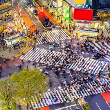 Tokyo, Japan view of Shibuya Crossing, one of the busiest crosswalks in the world.
aerial, architecture, asia, asian, billboards, buildings, business, city, cityscape, commercial, cross, crosswalk, crowd, district, downtown, dusk, evening, famous, futuristic, japan, japanese, landmark, lights, location, metropolis, metropolitan, modern, morning, night, office, pedestrian, people, place, plaza, road, scene, scenery, scenic, shibuya, shopping, signs, skyline, skyscrapers, square, street, tokyo, twilight, urban, view, walk