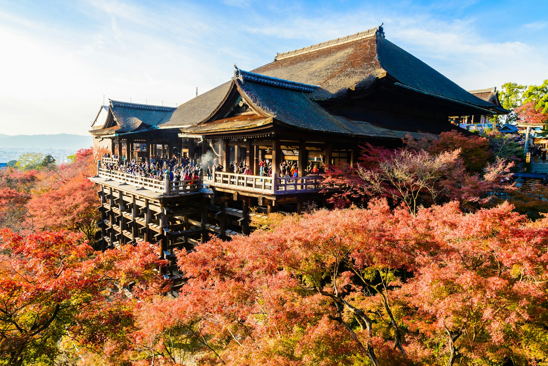 Groups of tourists gather on the balconies of a large wooden temple surrounded by autumn foliage