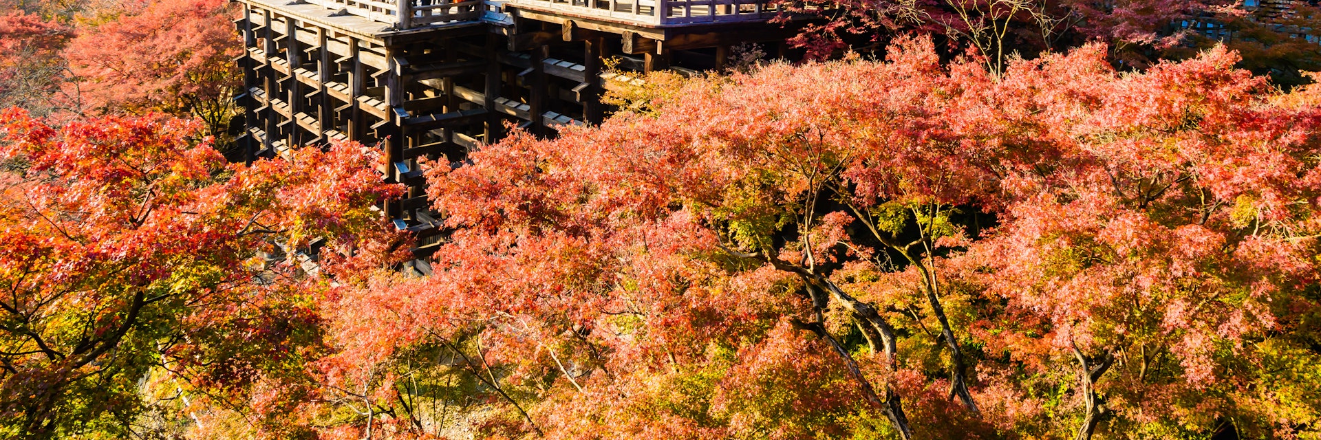 Kiyomizu or Kiyomizu-dera temple in autum season at Kyoto Japan
391009933
architecture, asia, autumn, buddhism, buddhist, color, culture, dera, fall, heritage, japan, japanese, kiyomizu, kiyomizu-dera, kyoto, landmark, nature, red, religion, religious, shinto, shrine, temple, tourist, travel