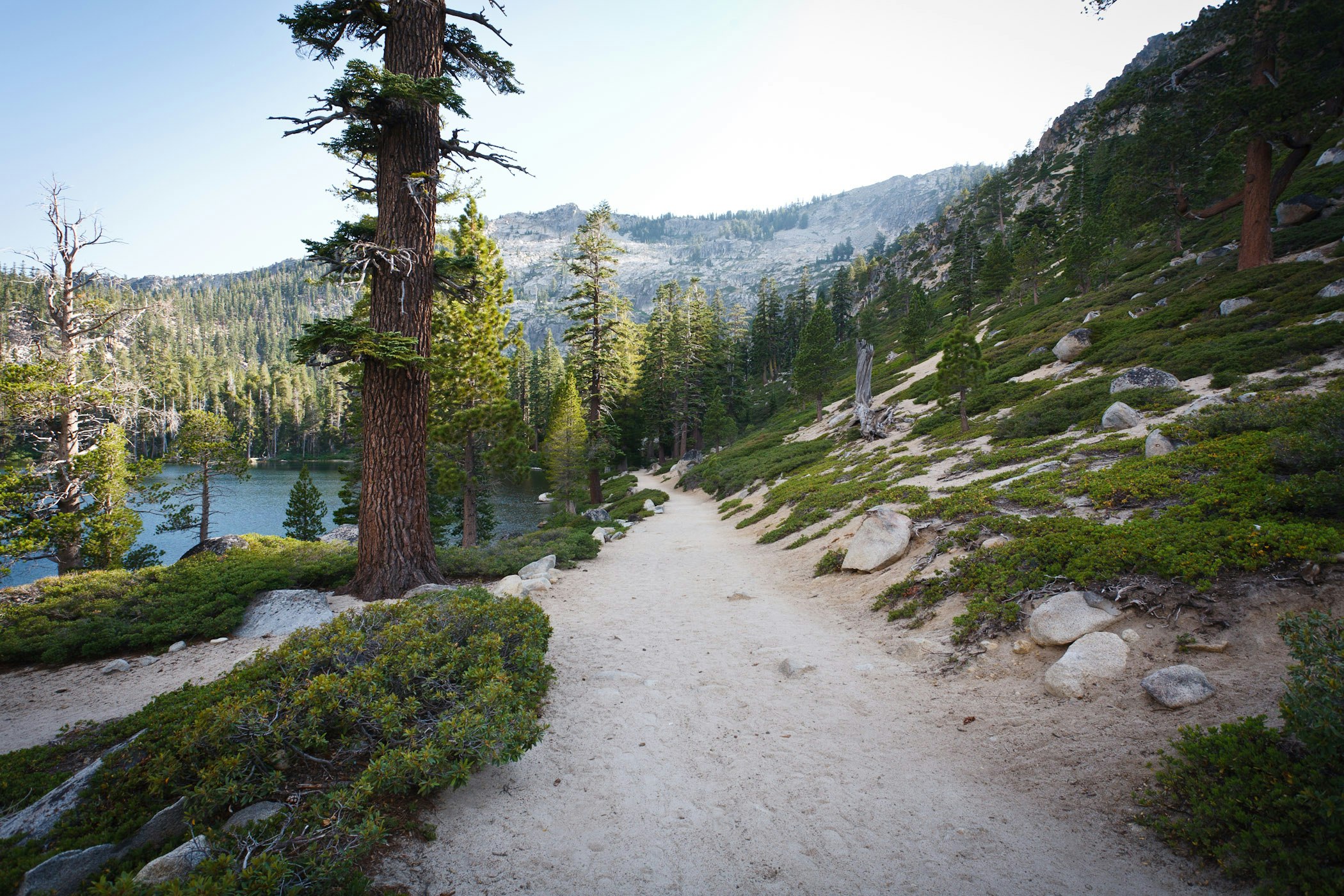 A woodland hiking trail leads down towards a lake